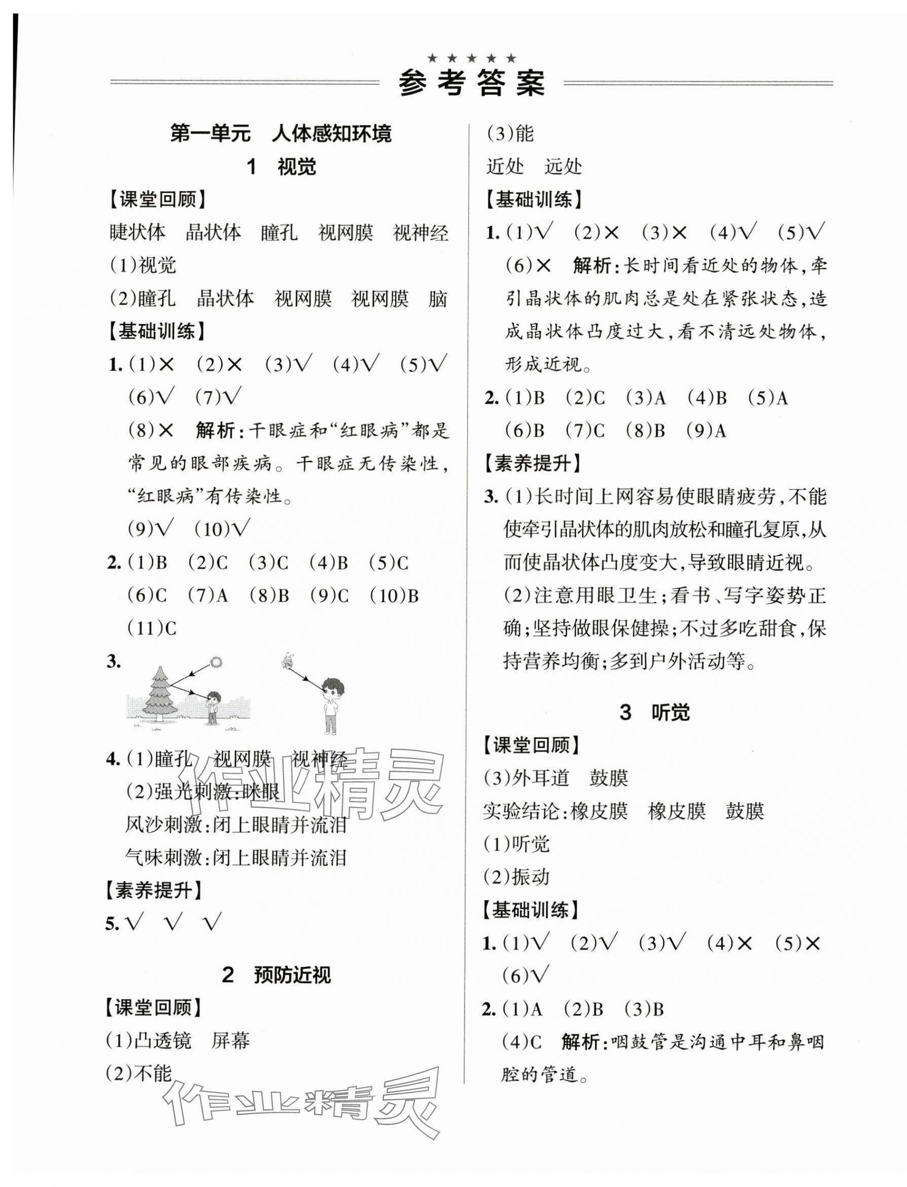 2025年小学学霸作业本六年级科学下册青岛版山东专版&nbsp;参考答案第1页