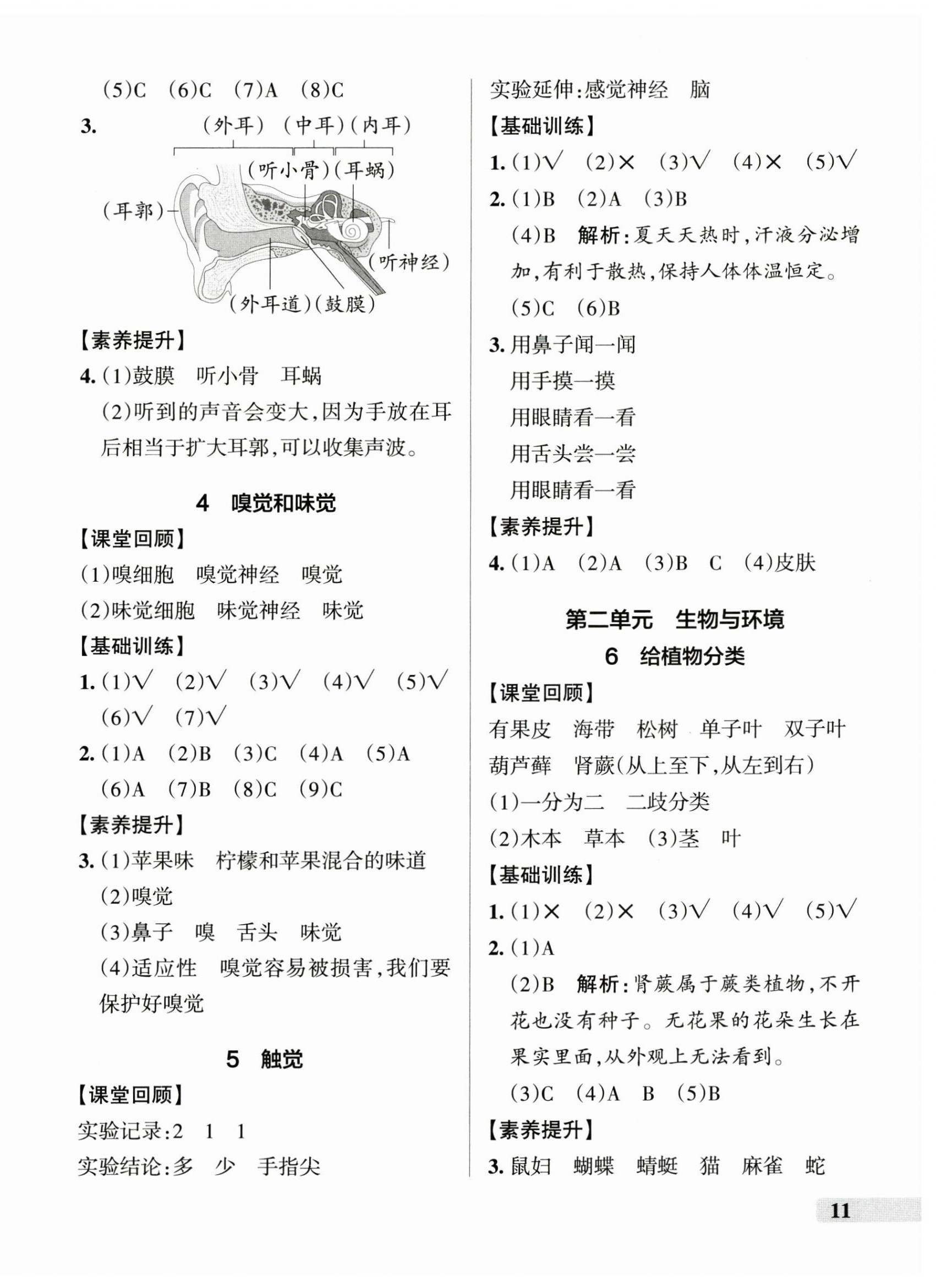2025年小学学霸作业本六年级科学下册青岛版山东专版&nbsp;参考答案第2页