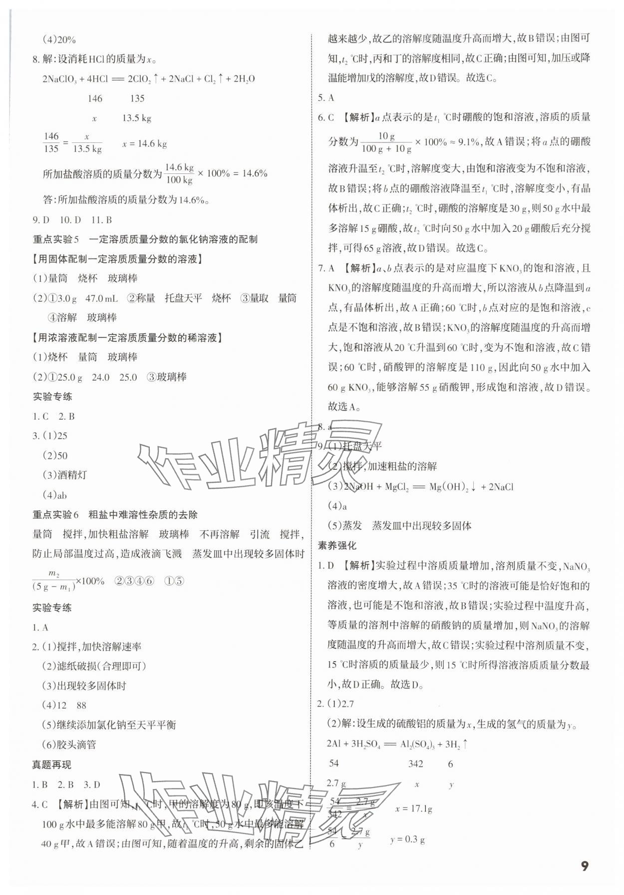 2025年滚动迁移中考总复习化学广东专版&nbsp;第9页