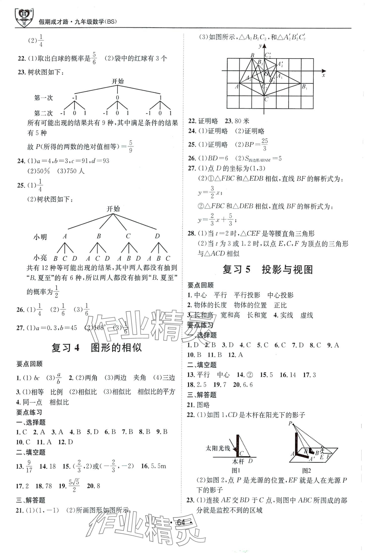 2024年假期成才路九年级数学北师大版&nbsp;第2页