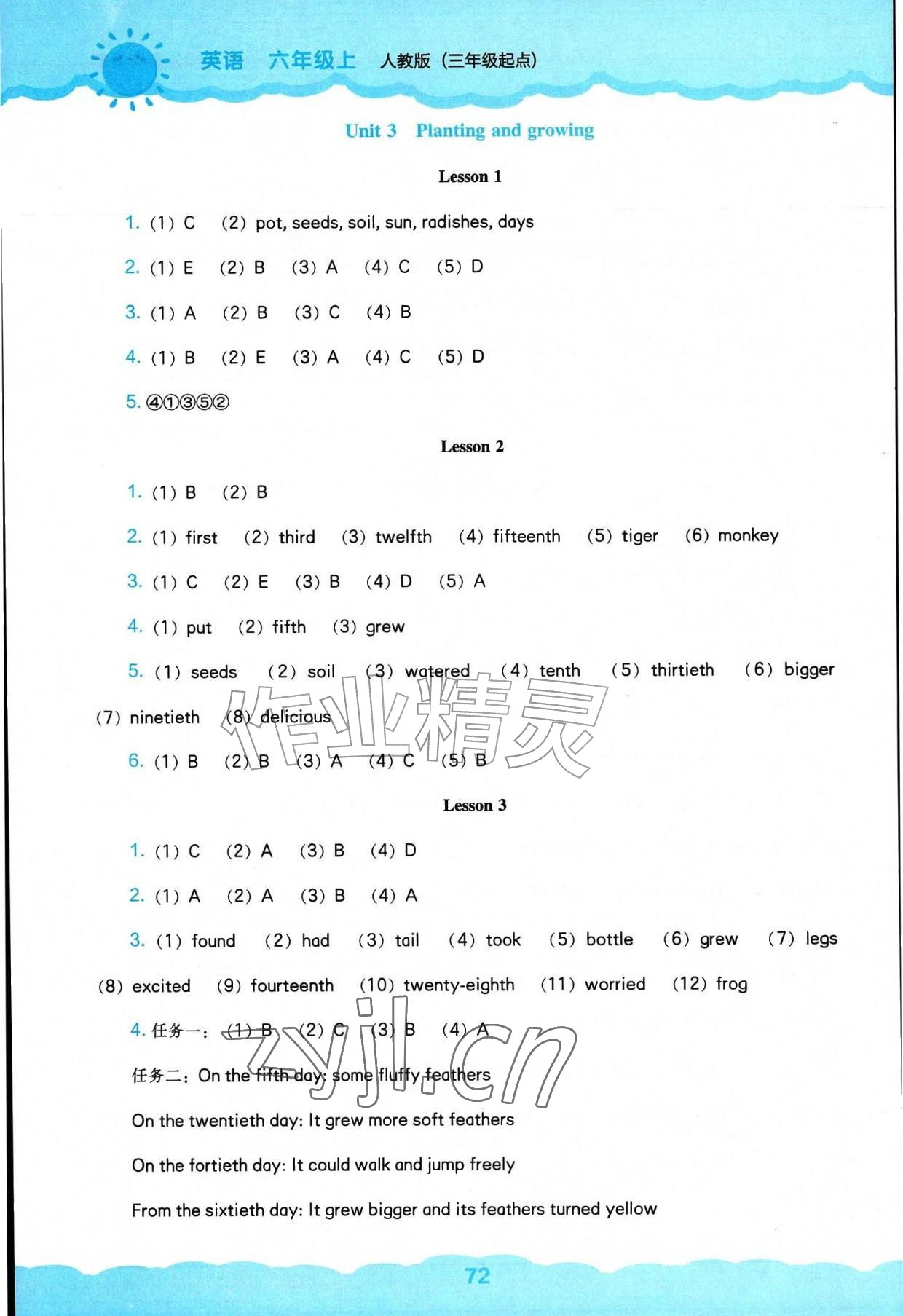 2026年新课程能力培养六年级英语上册人教版&nbsp;参考答案第4页