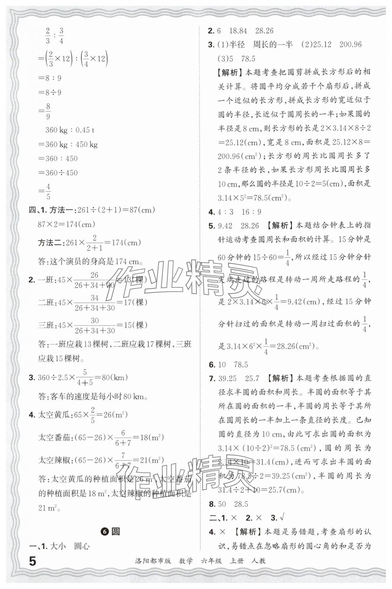 2024年王朝霞各地期末试卷精选六年级数学上册人教版洛阳专版&nbsp;参考答案第5页