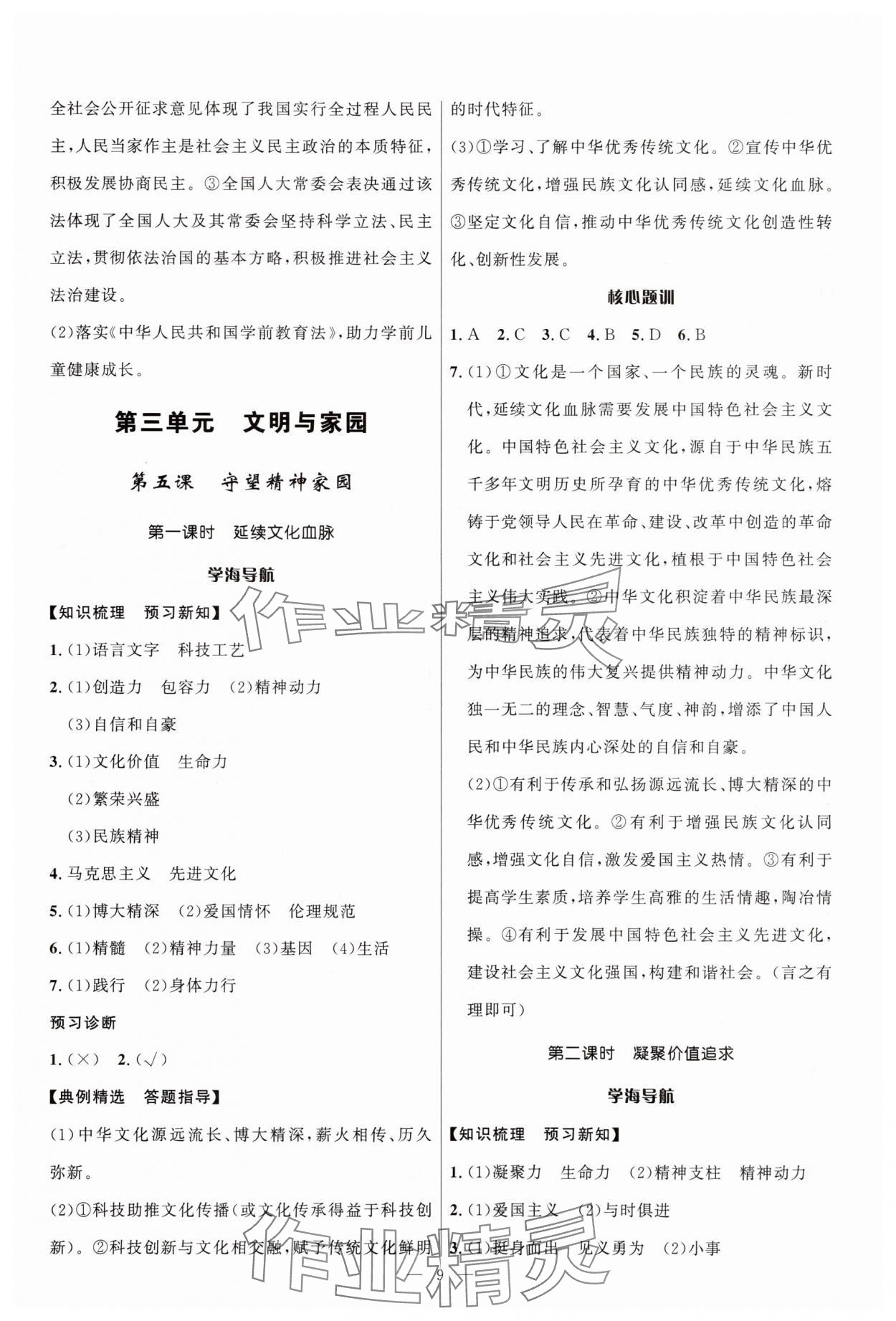 2025年顶尖课课练九年级道德与法治全一册人教版贵州专版&nbsp;第9页