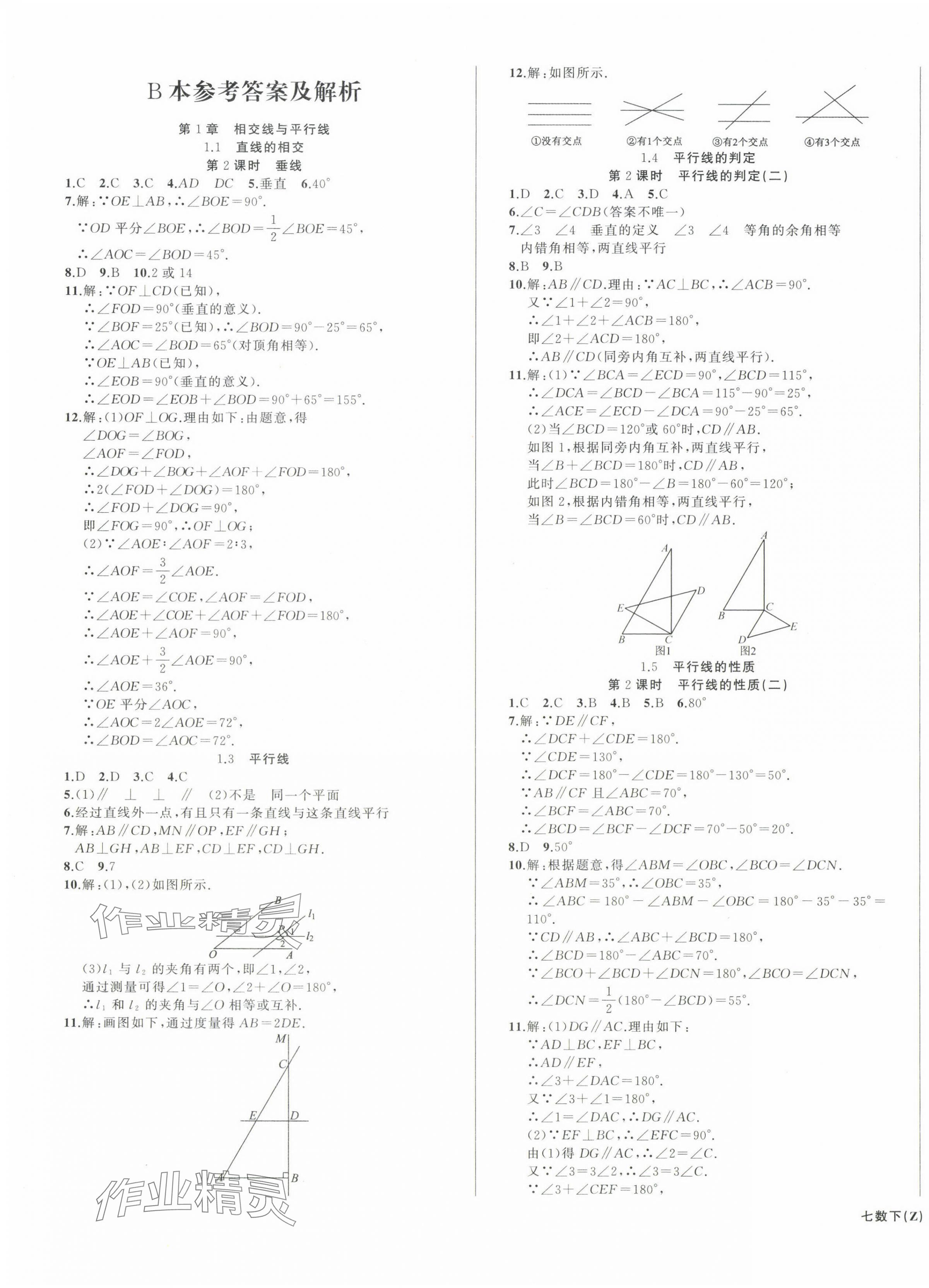 2025年名师面对面同步作业本七年级数学下册浙教版浙江专版&nbsp;第11页