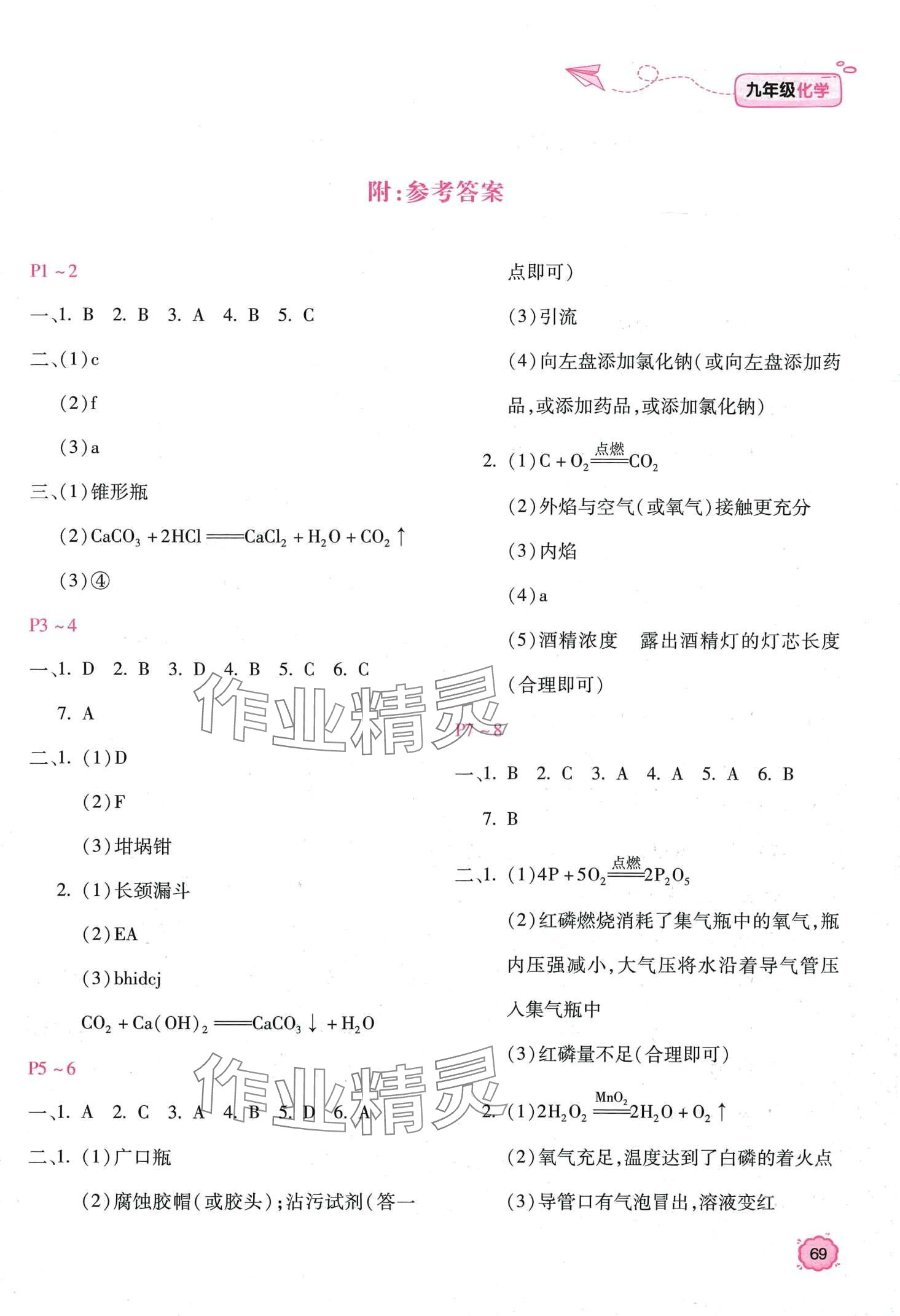2024年新课标寒假乐园九年级化学&nbsp;第1页