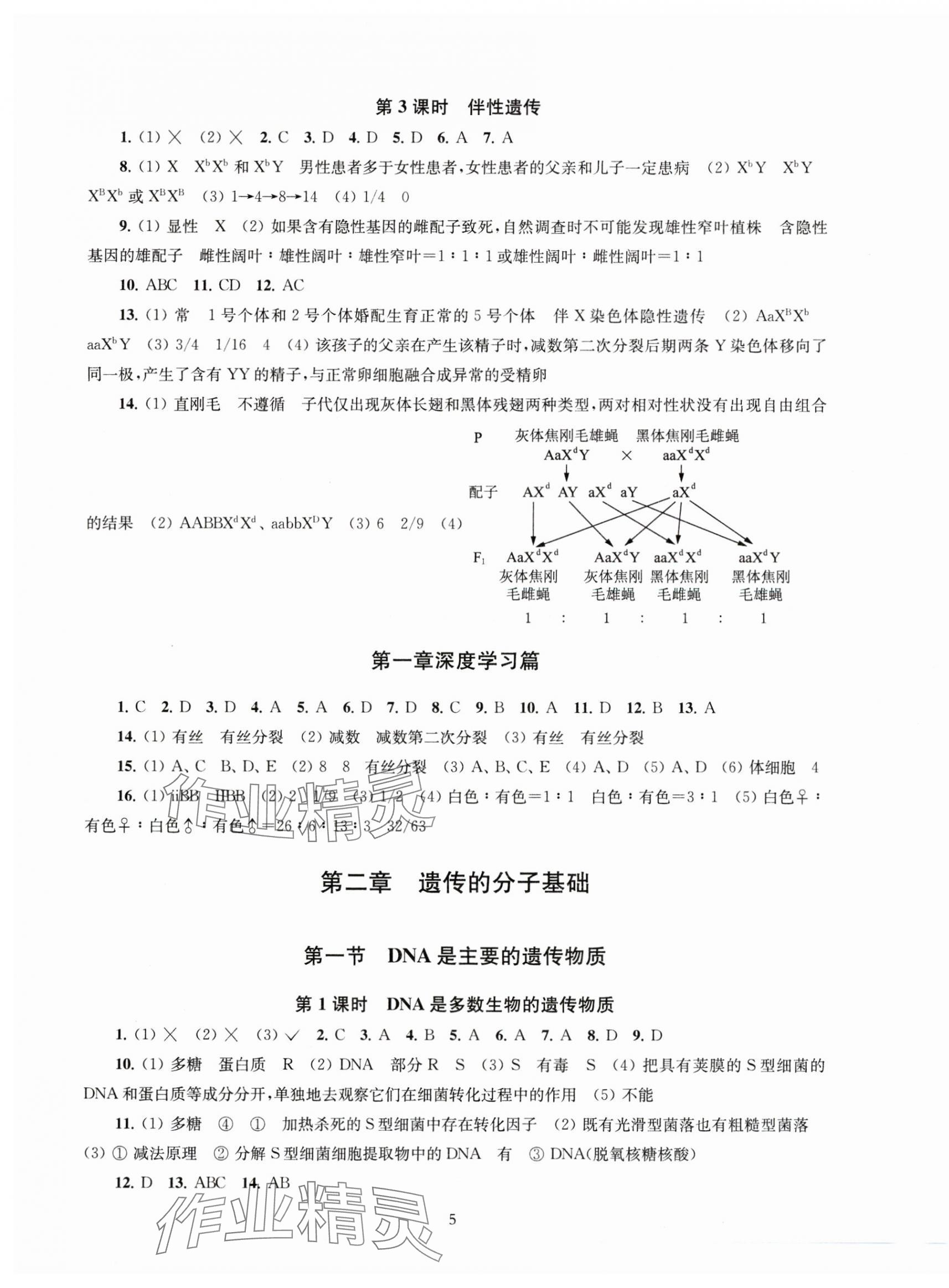 2025年凤凰新学案高中生物必修2苏教版&nbsp;第5页