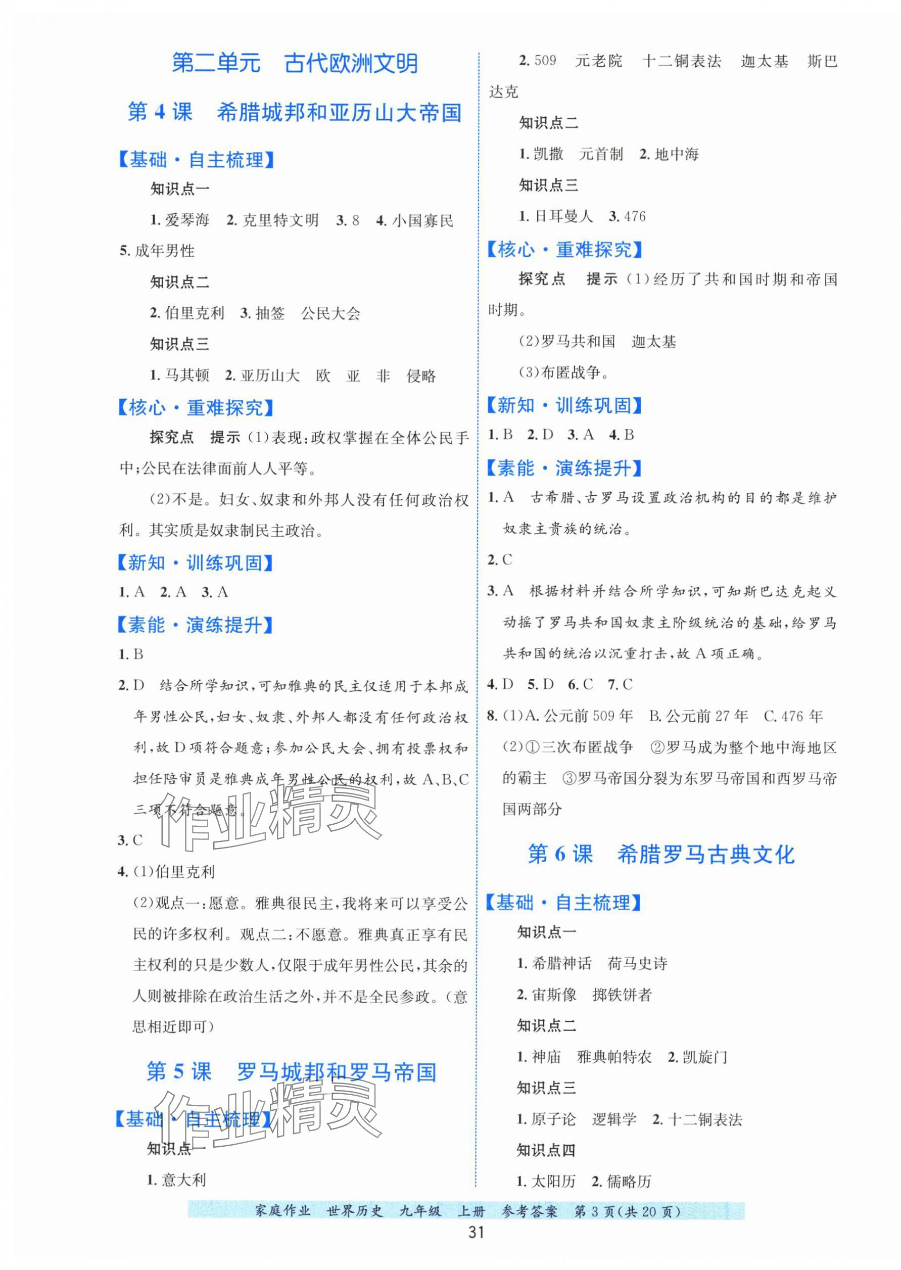 2025年家庭作业九年级历史上册人教版&nbsp;第3页
