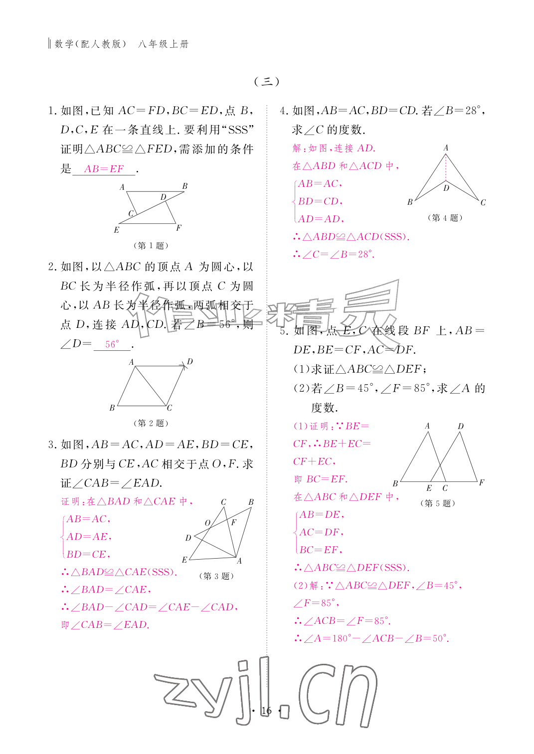 2026年作业本江西教育出版社八年级数学上册人教版&nbsp;参考答案第16页