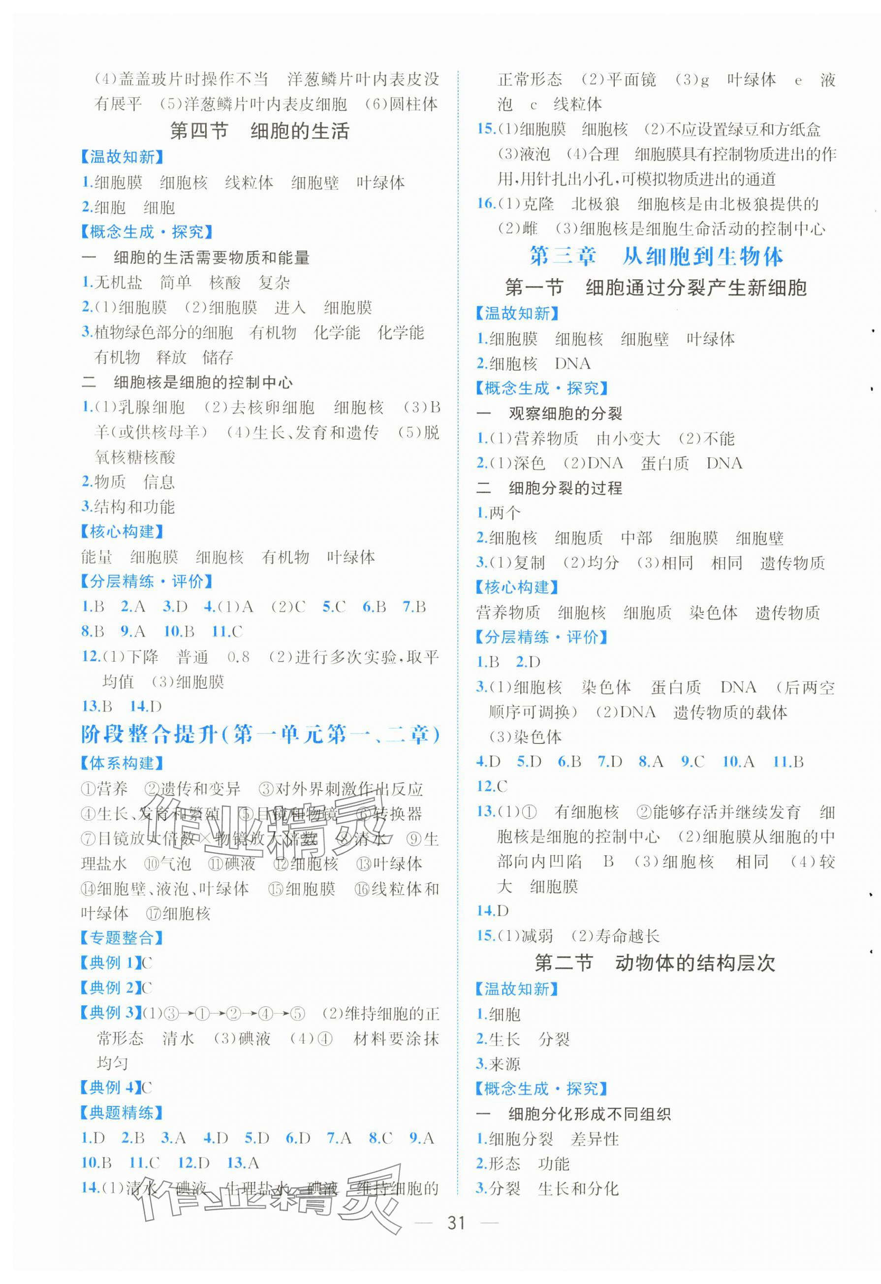 2025年人教金学典同步解析与测评七年级生物上册人教版云南专版&nbsp;第3页