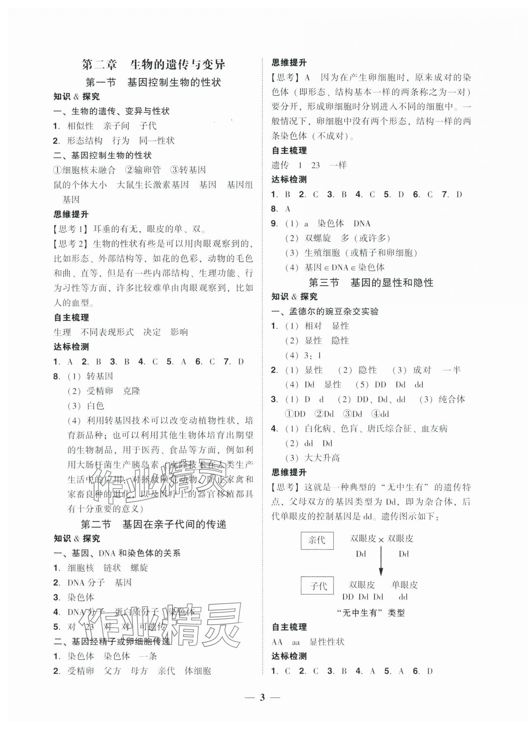 2025年南粤学典学考精练八年级生物下册人教版&nbsp;第3页