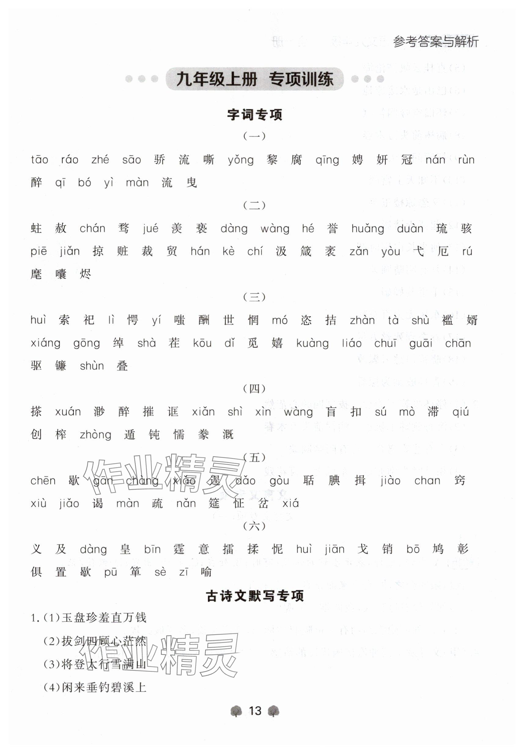 2024年点石成金金牌每课通九年级语文全一册人教版辽宁专版&nbsp;参考答案第13页