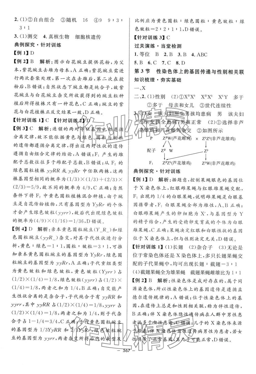 2024年钟书金牌金典导学案高中生物沪教版上海专版&nbsp;第13页
