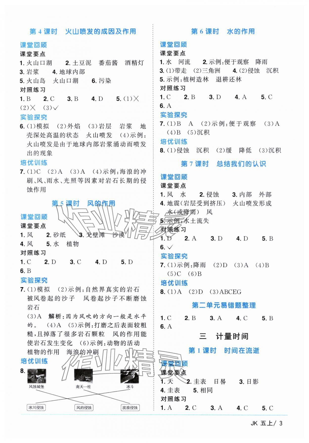 2024年阳光同学课时优化作业五年级科学上册教科版&nbsp;第3页