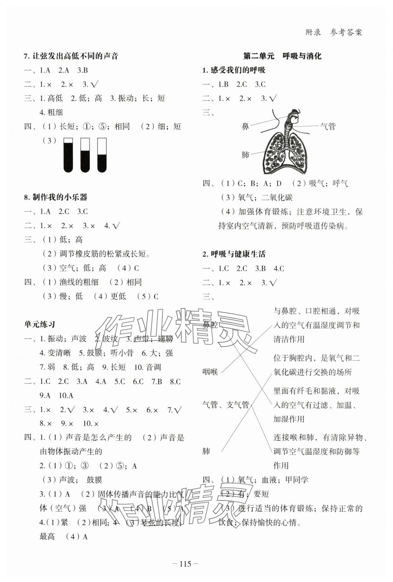2024年小学科学知识百分百四年级上册教科版&nbsp;参考答案第2页