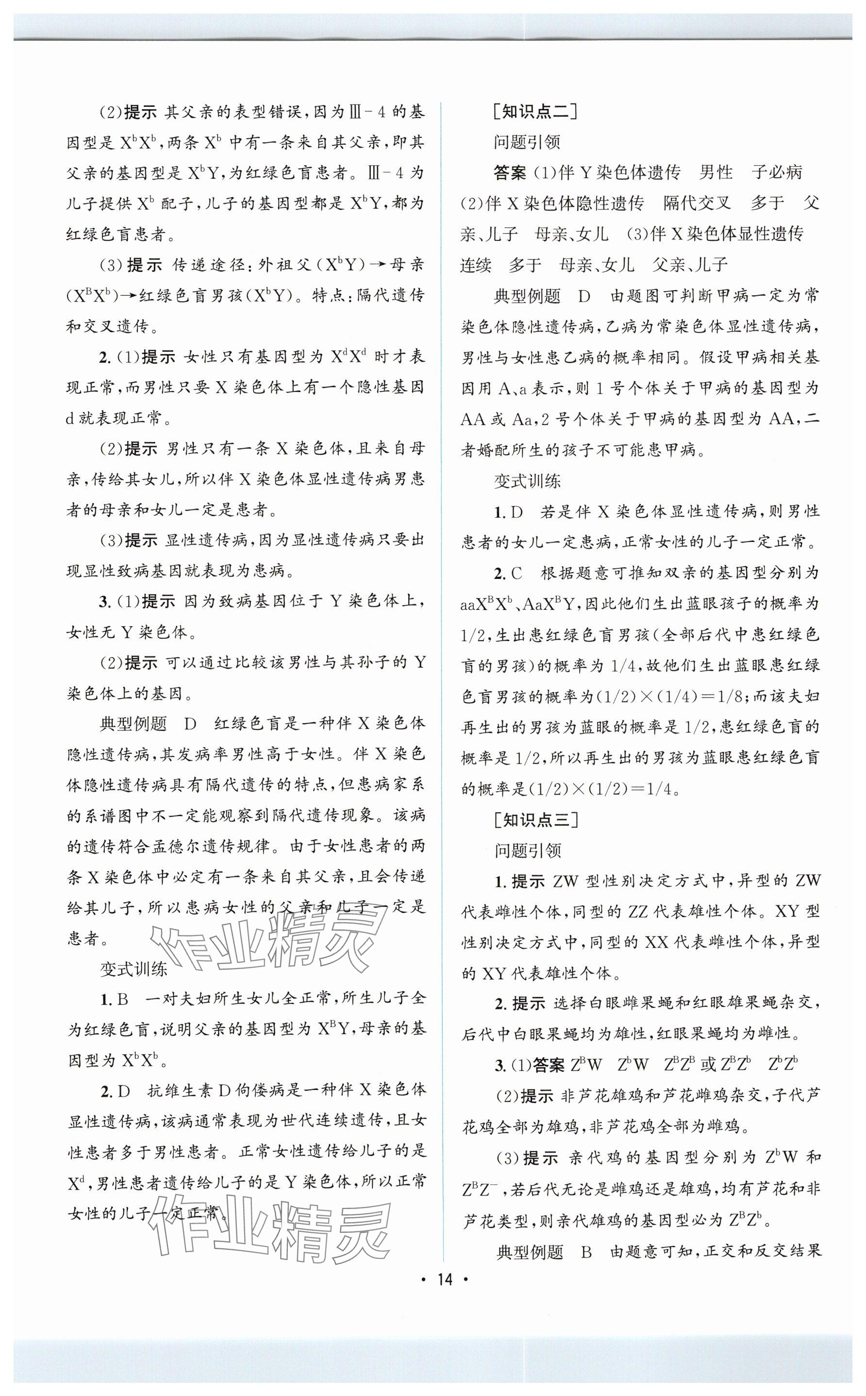 2024年高中同步测控优化设计高中生物必修2人教版增强版&nbsp;参考答案第13页