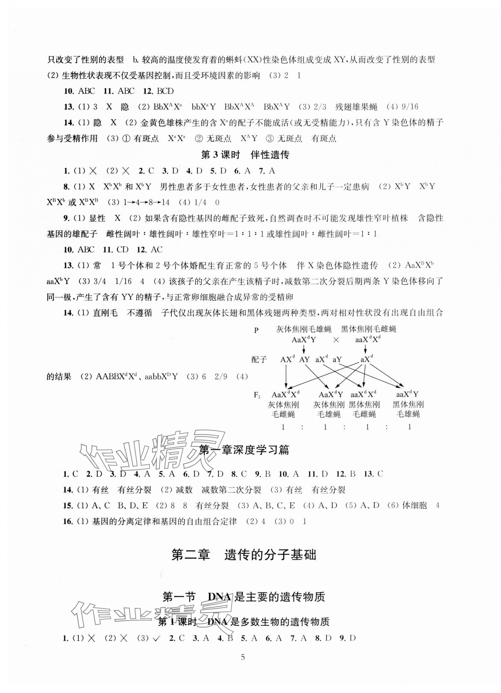 2024年凤凰新学案高中生物必修2苏教版&nbsp;第5页