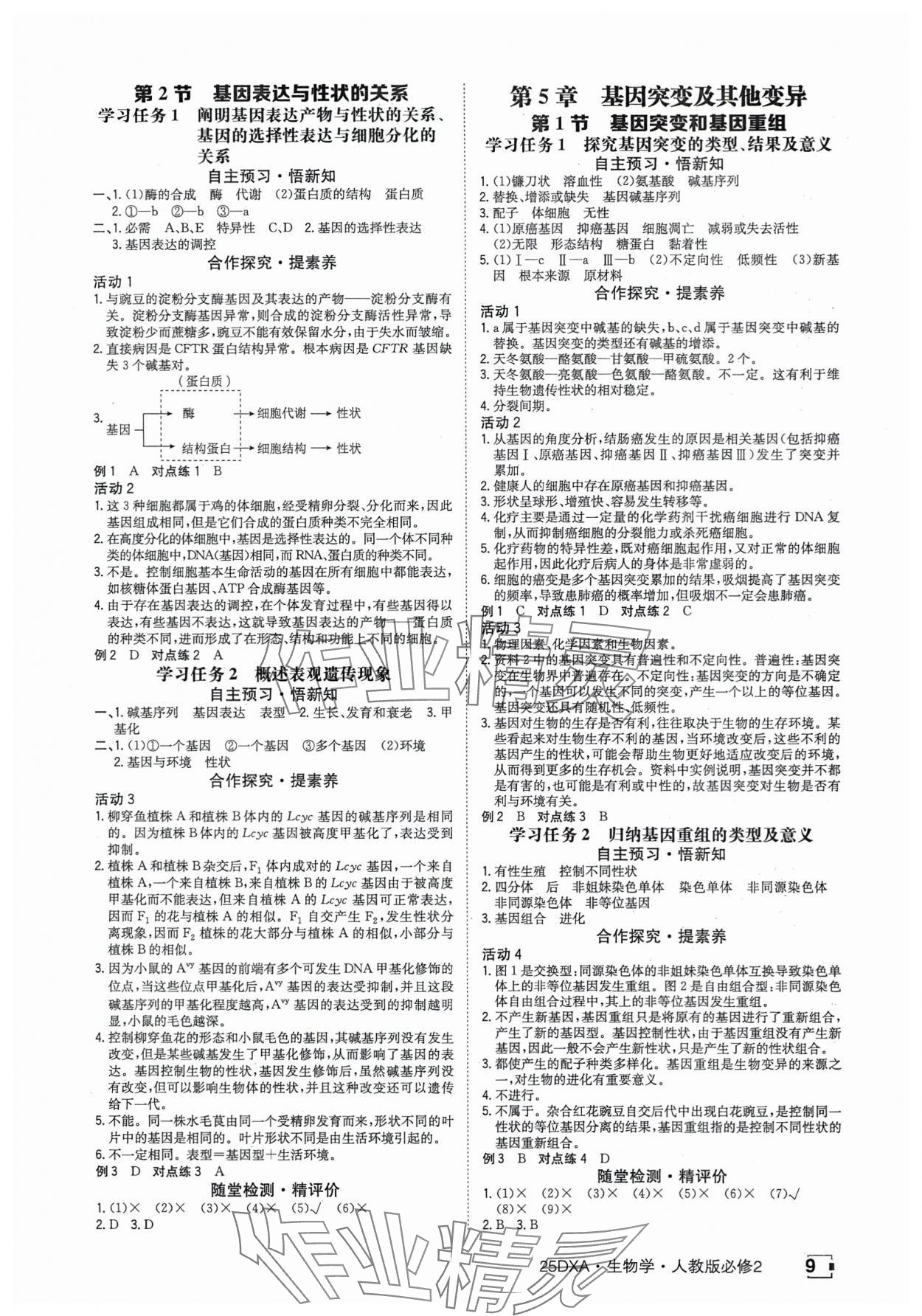 2025年金太阳导学案高中生物必修2人教版&nbsp;参考答案第9页