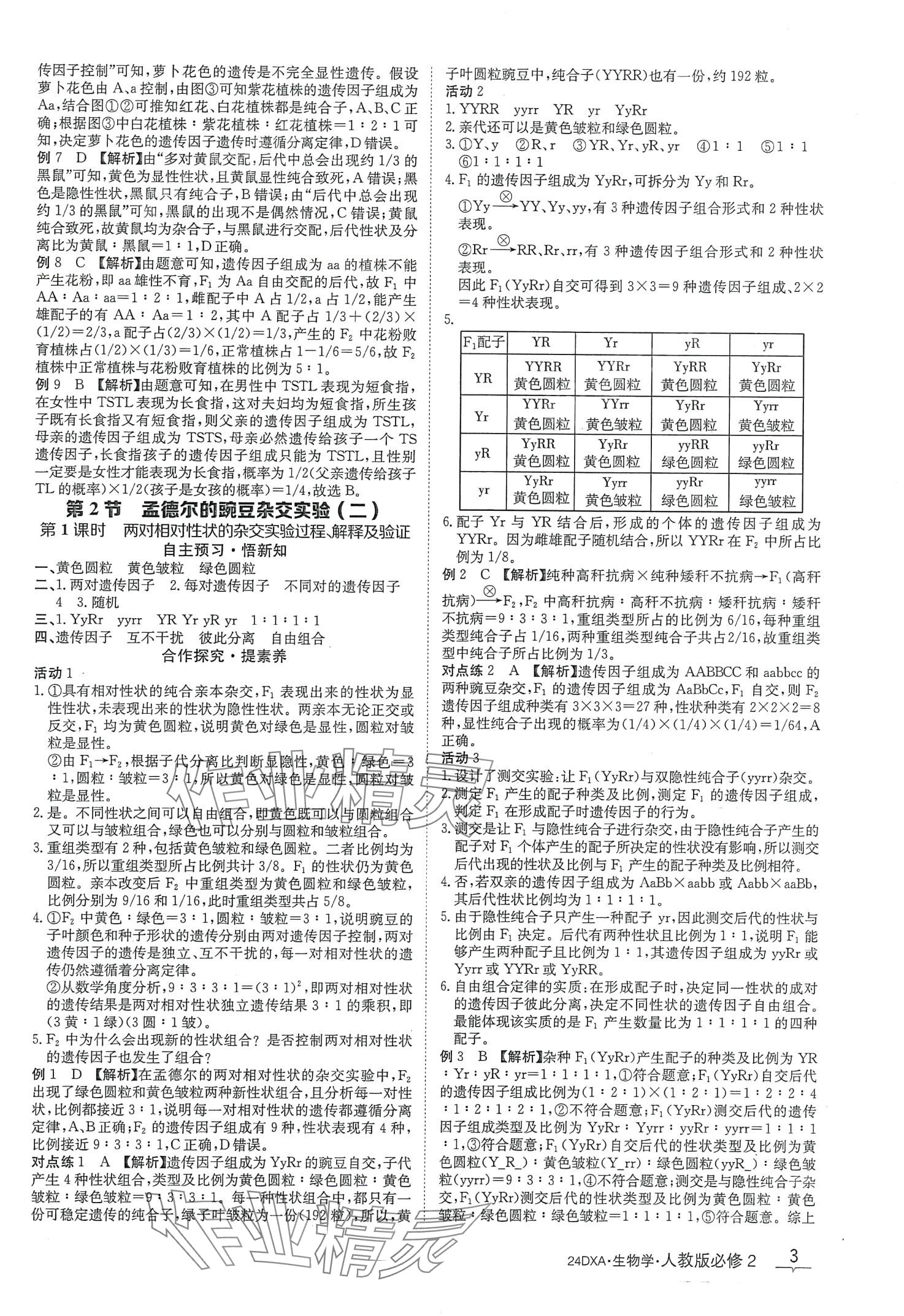 2024年金太阳导学案高中生物必修2人教版新教材&nbsp;第3页