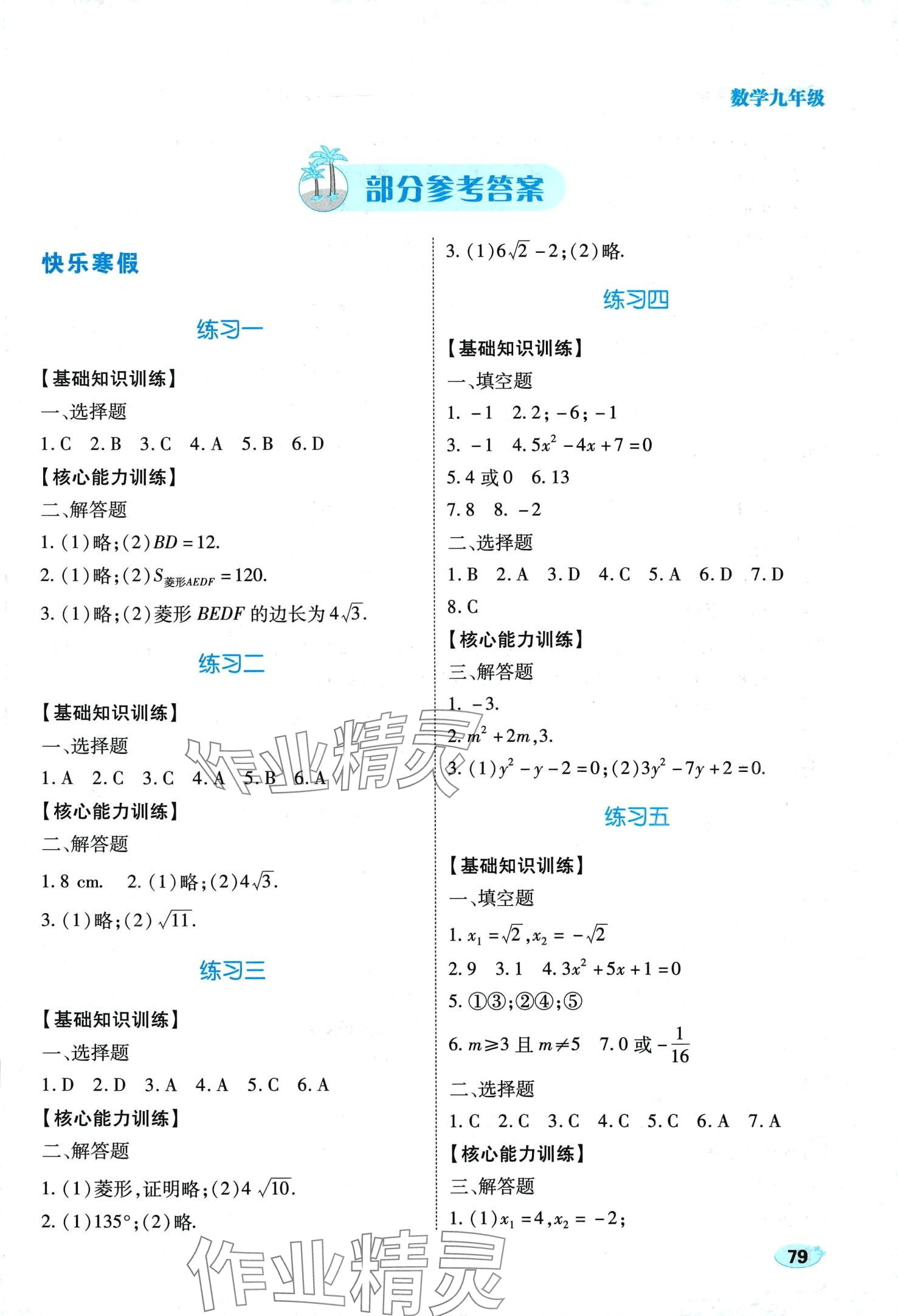 2024年乐享寒假生活九年级数学&nbsp;第1页