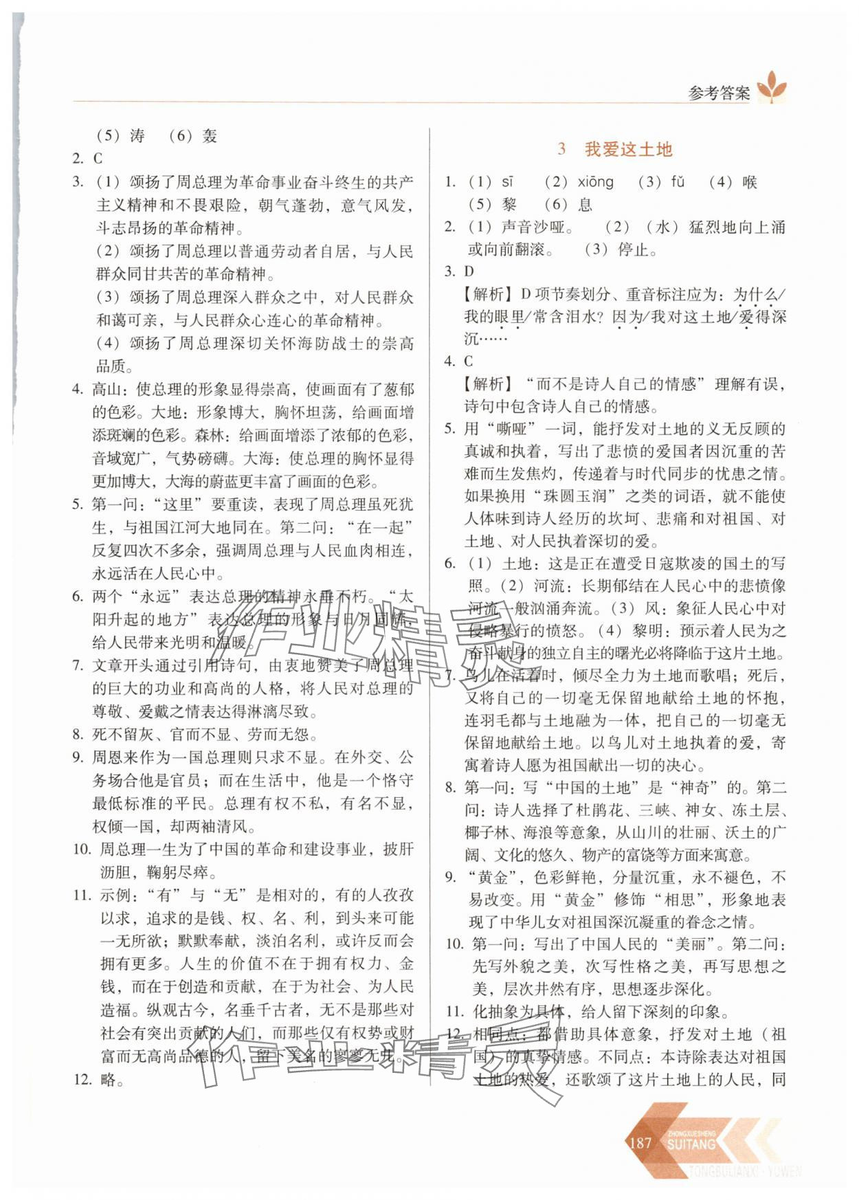 2025年随堂同步练习九年级语文上册人教版&nbsp;参考答案第2页