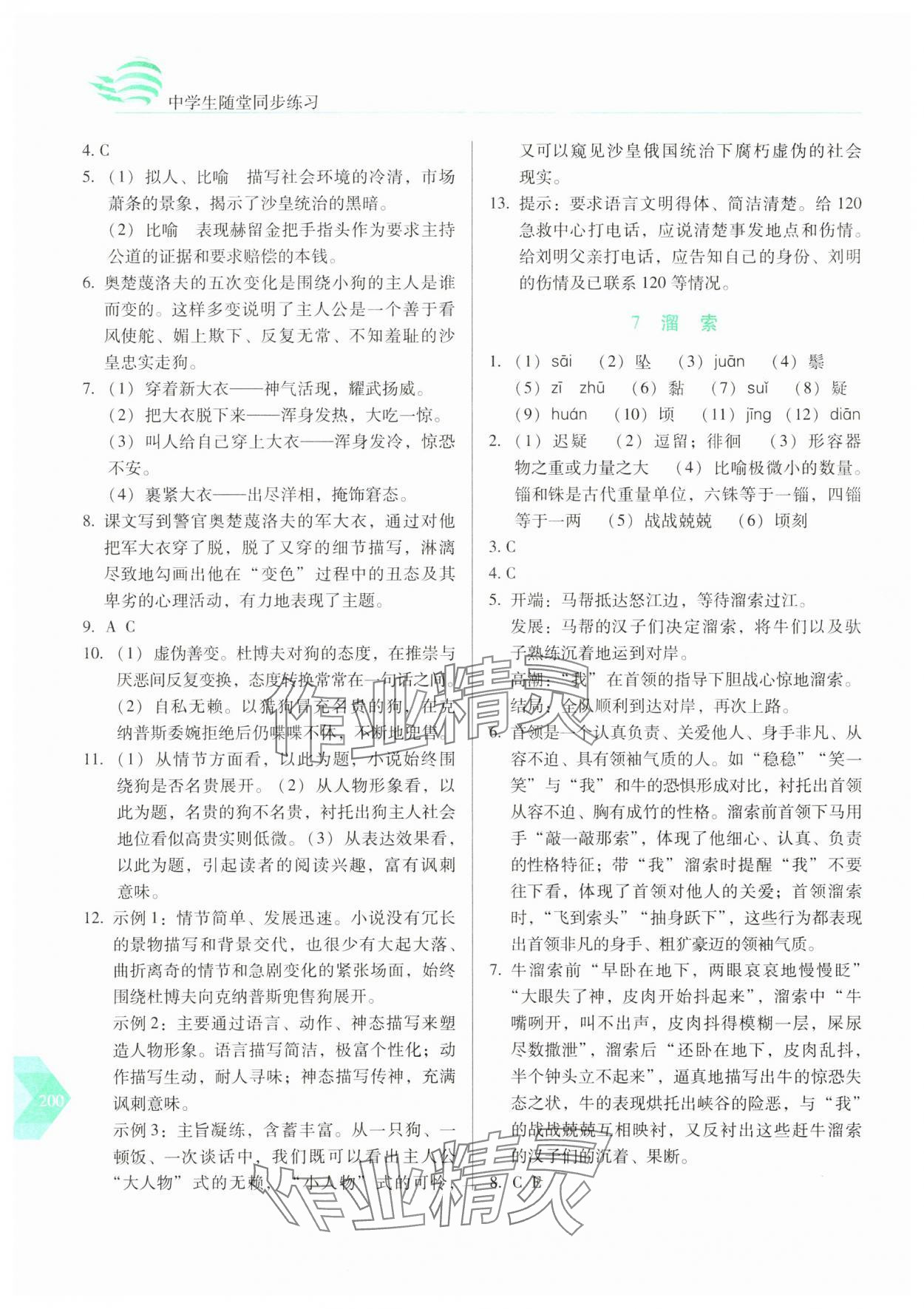 2025年随堂同步练习九年级语文下册人教版&nbsp;参考答案第5页