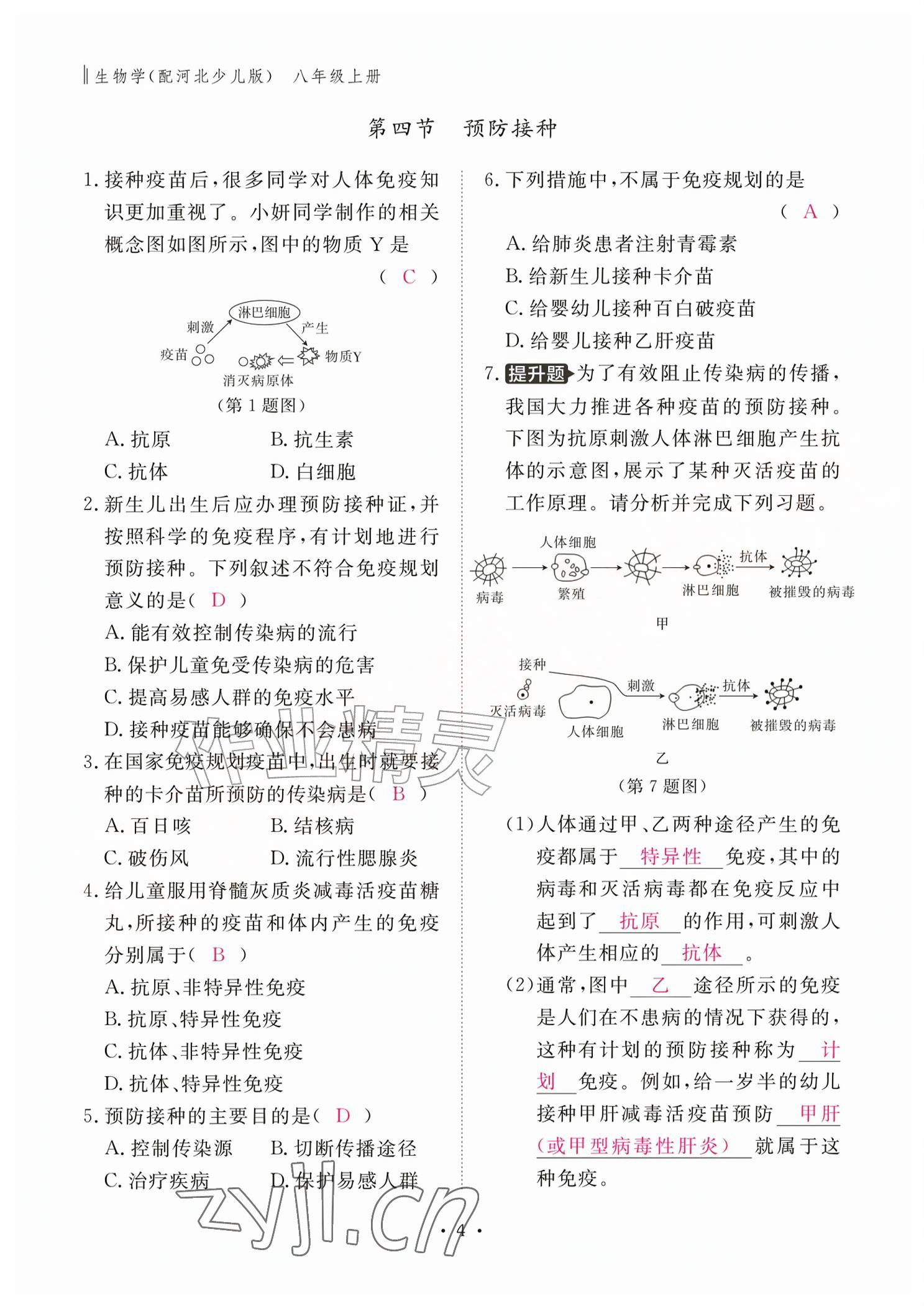 2026年作业本江西教育出版社八年级生物上册冀少版&nbsp;参考答案第4页