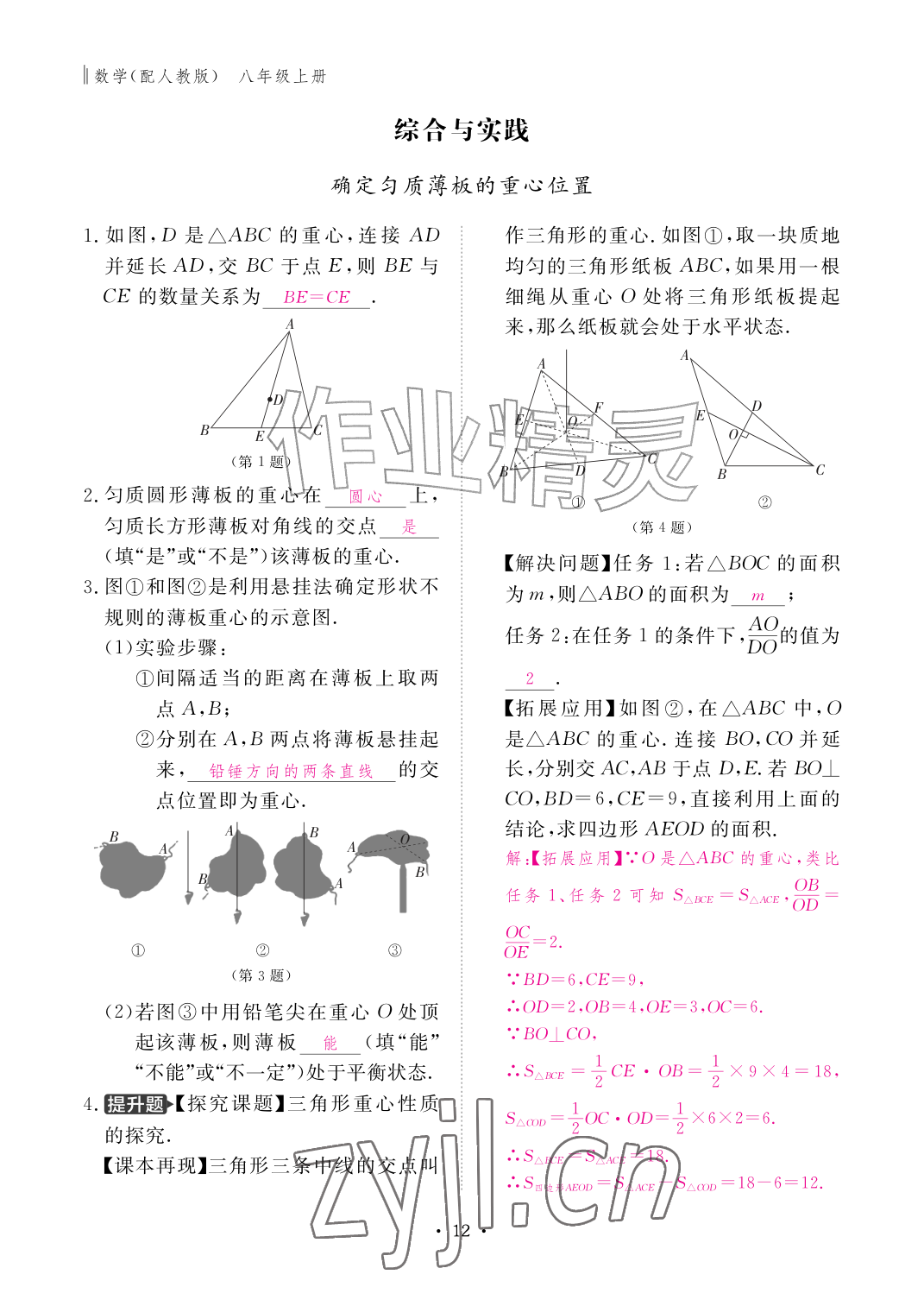2026年作业本江西教育出版社八年级数学上册人教版&nbsp;参考答案第10页