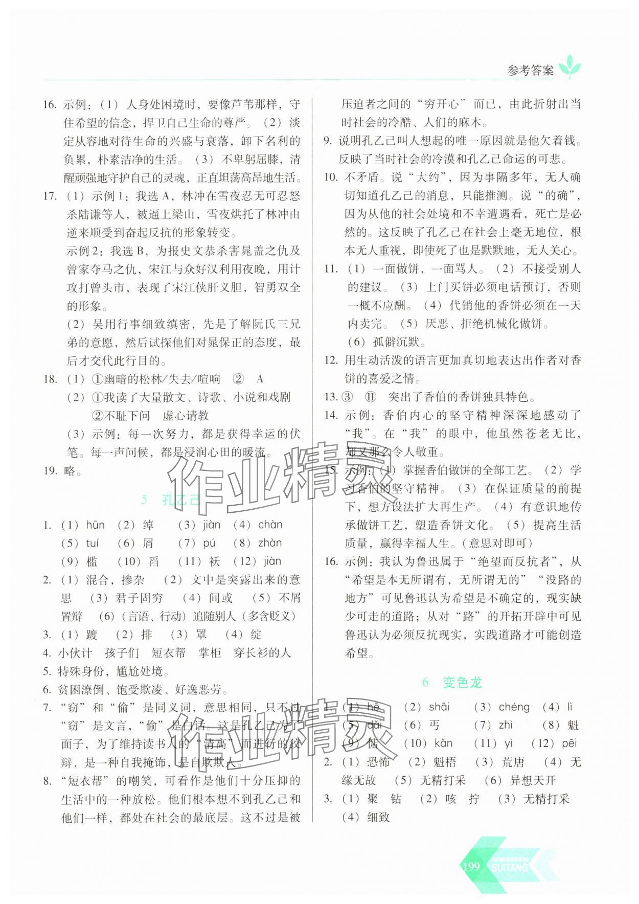 2025年随堂同步练习九年级语文下册人教版&nbsp;参考答案第4页