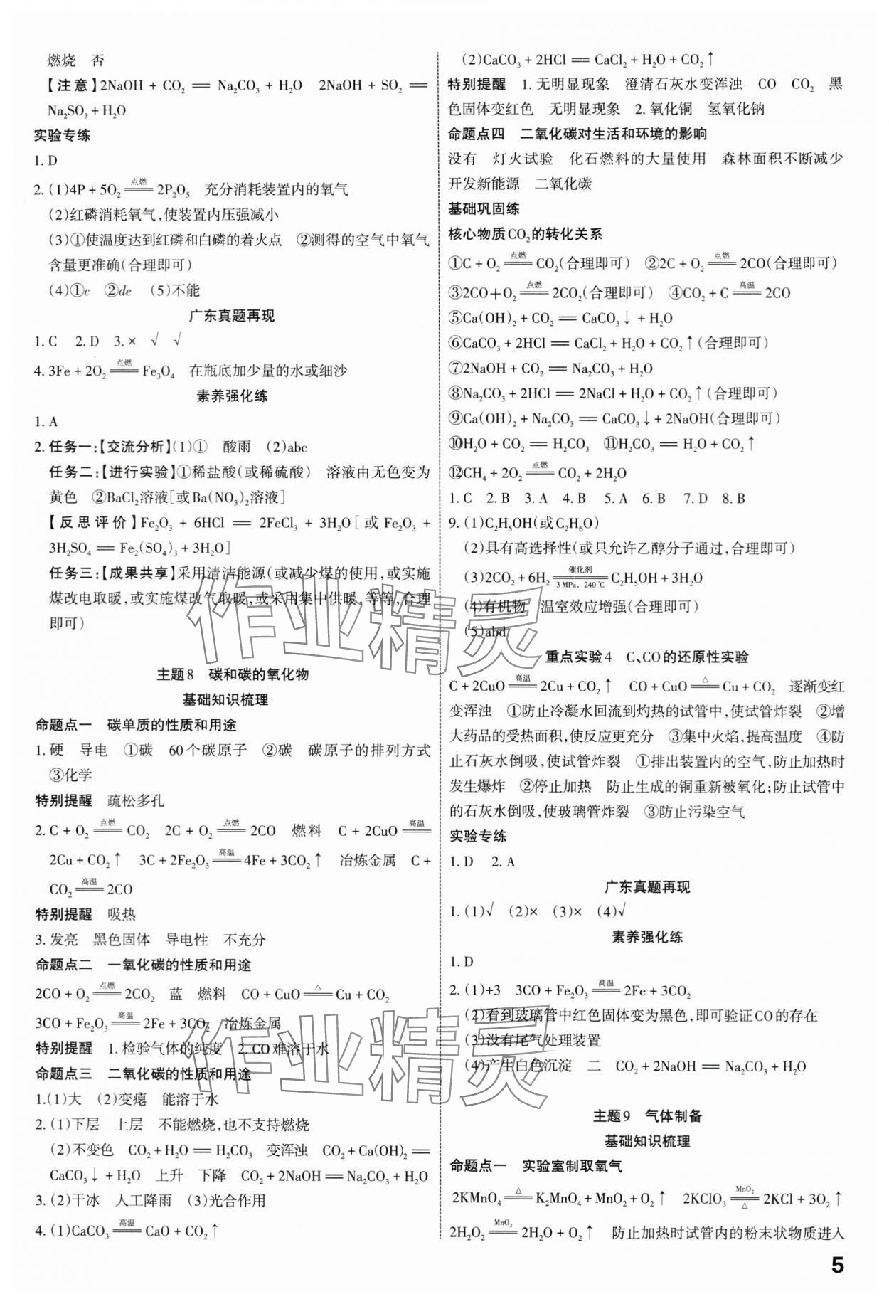 2024年滚动迁移中考总复习化学广东专版&nbsp;第5页