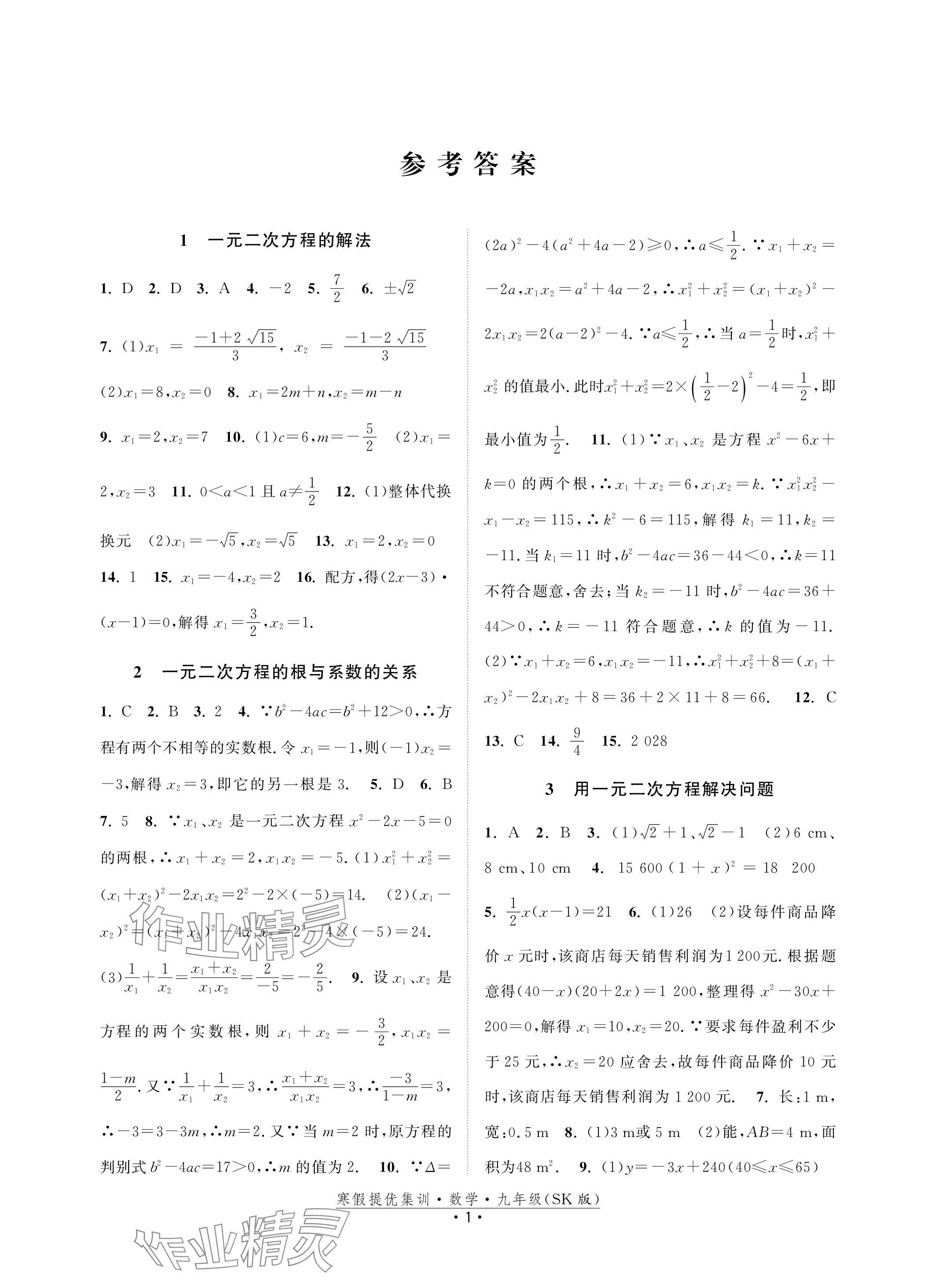 2024年寒假提优集训20天九年级数学苏科版&nbsp;参考答案第1页