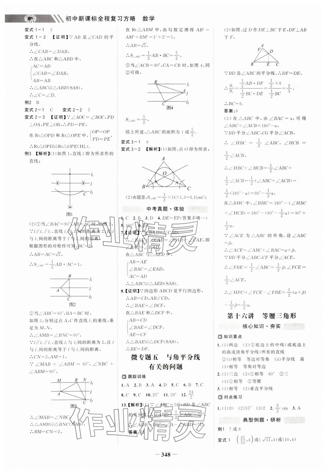 2025年世纪金榜初中全程复习方略数学&nbsp;第12页