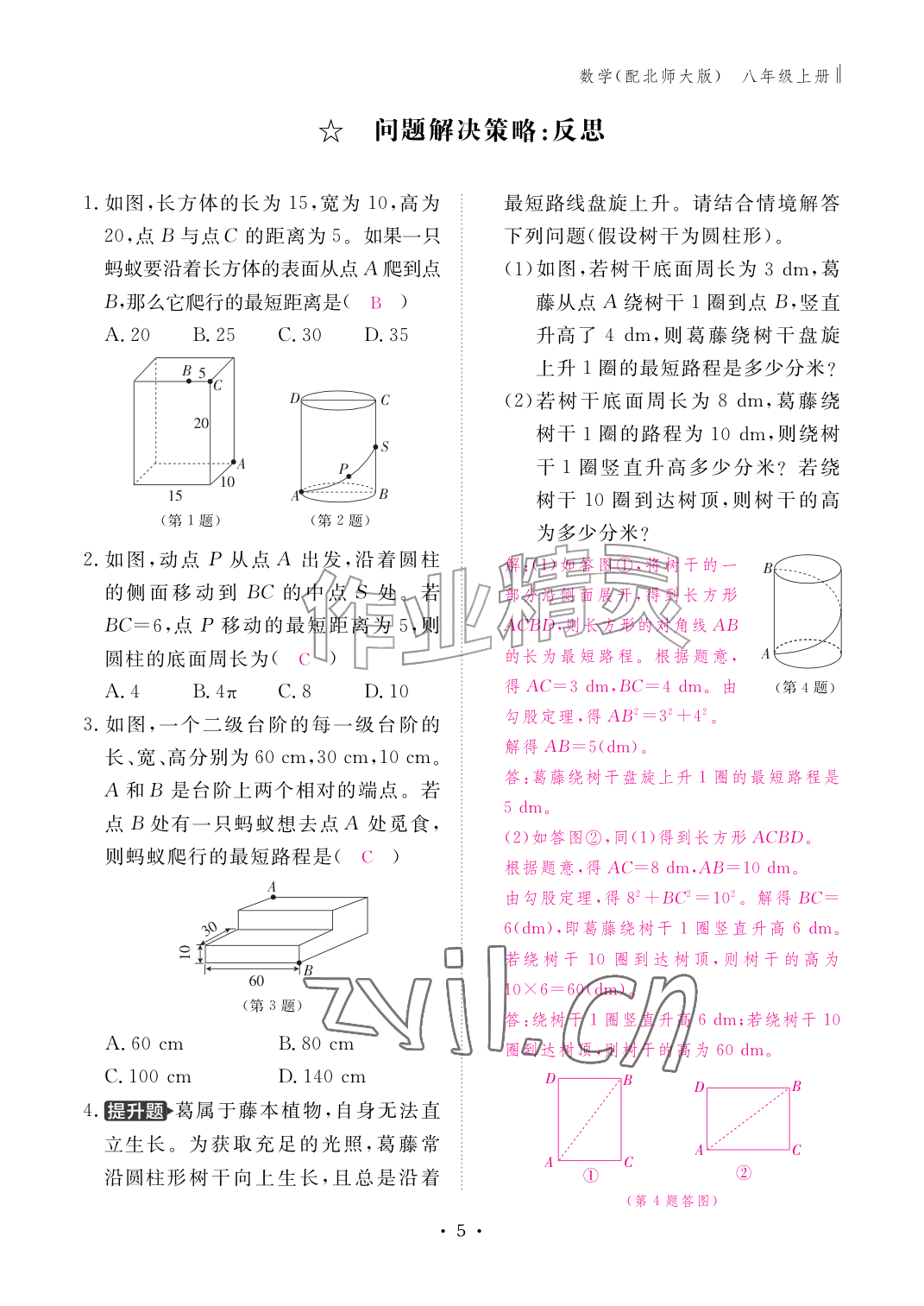 2026年作业本江西教育出版社八年级数学上册北师大版&nbsp;参考答案第5页