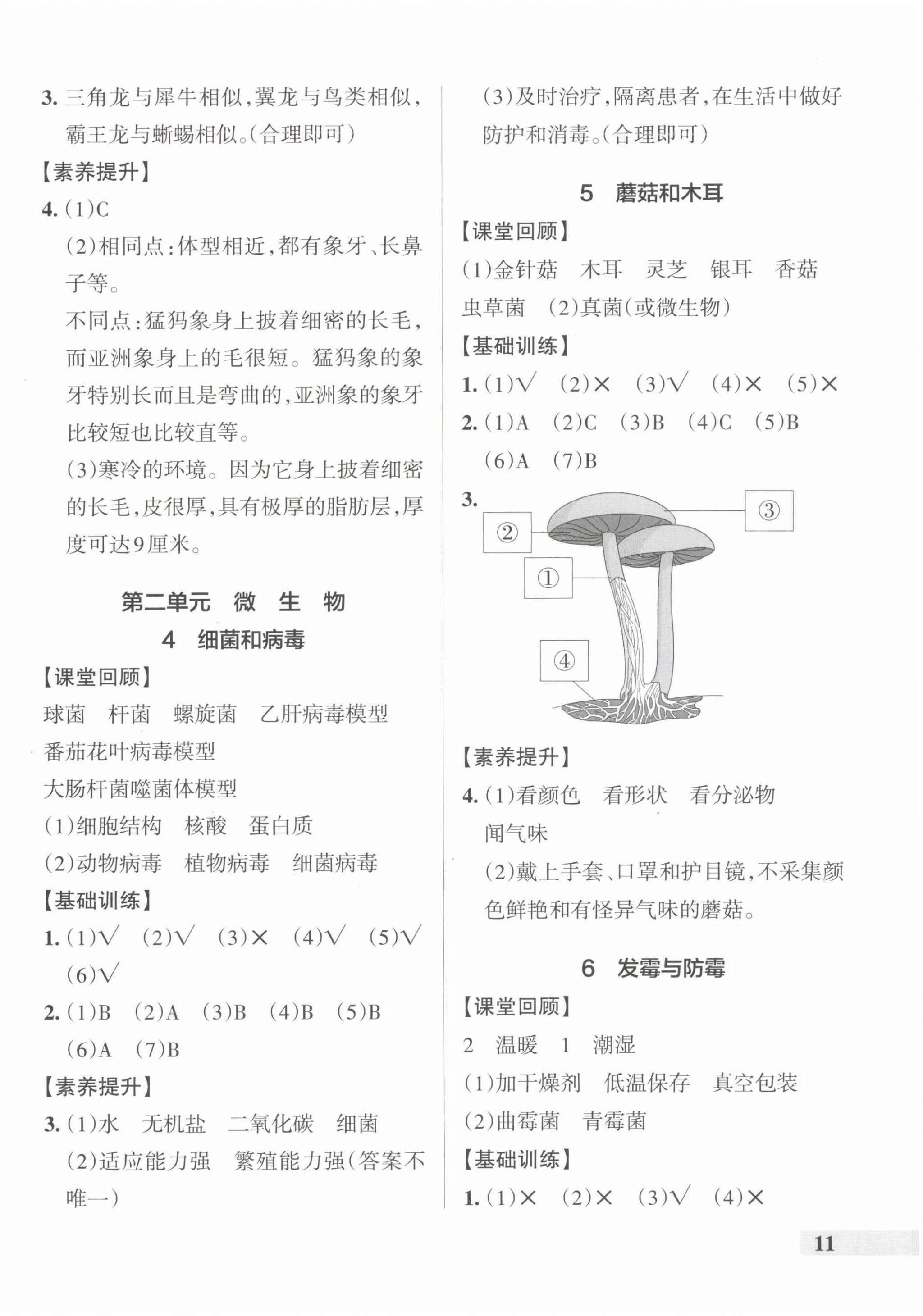 2024年小学学霸作业本六年级科学上册青岛版&nbsp;参考答案第2页