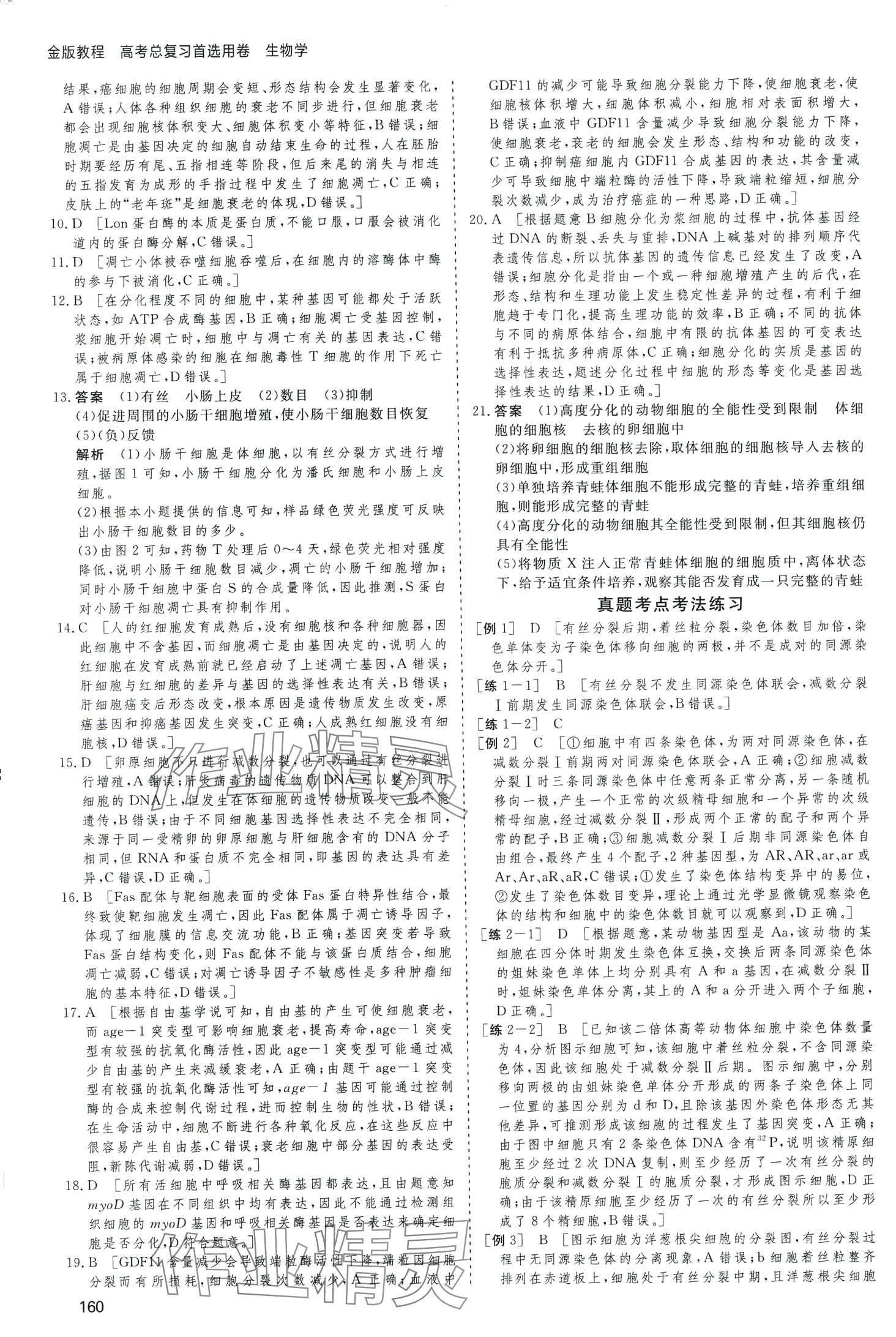 2024年高考总复习首选用卷高中生物通用版&nbsp;第20页