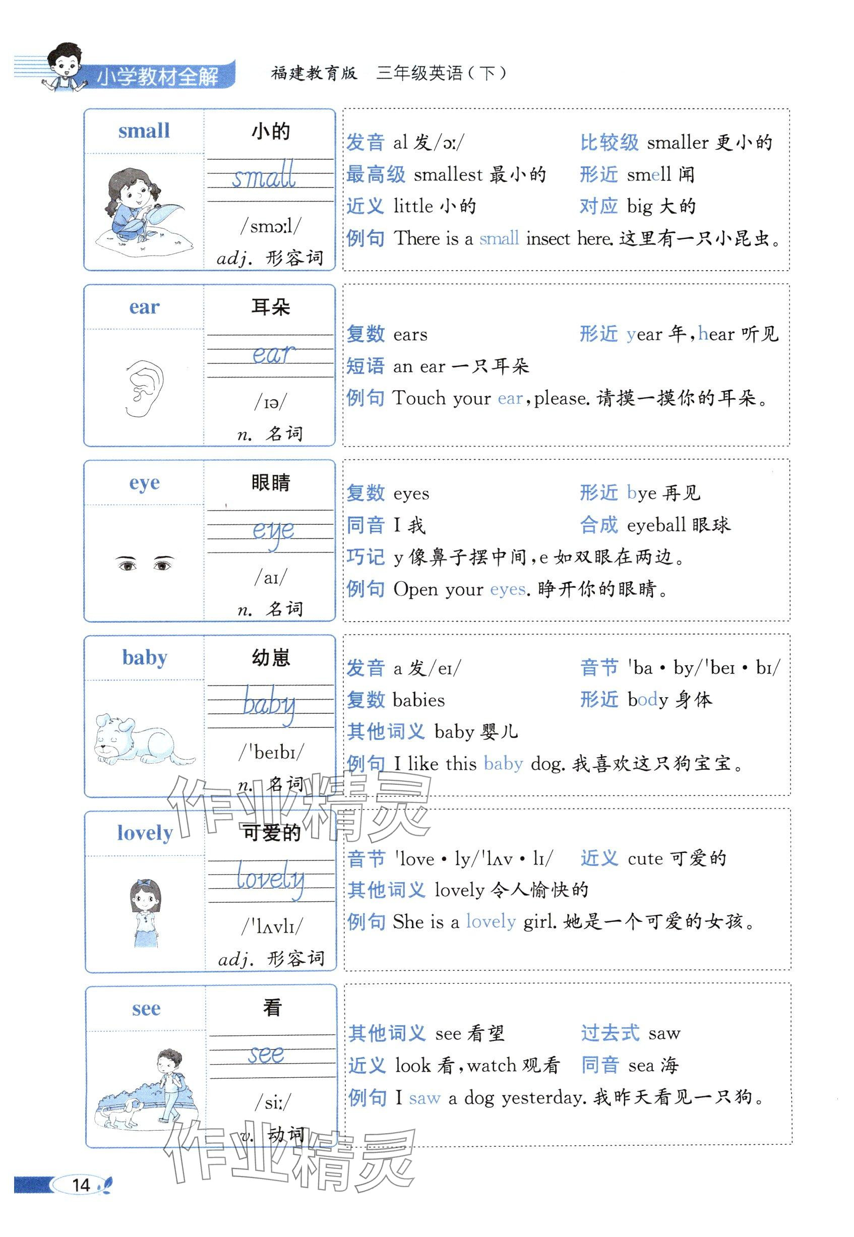 2025年教材课本三年级英语下册闽教版&nbsp;参考答案第14页