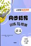 2024年云南省标准教辅同步指导训练与检测五年级语文下册人教版
