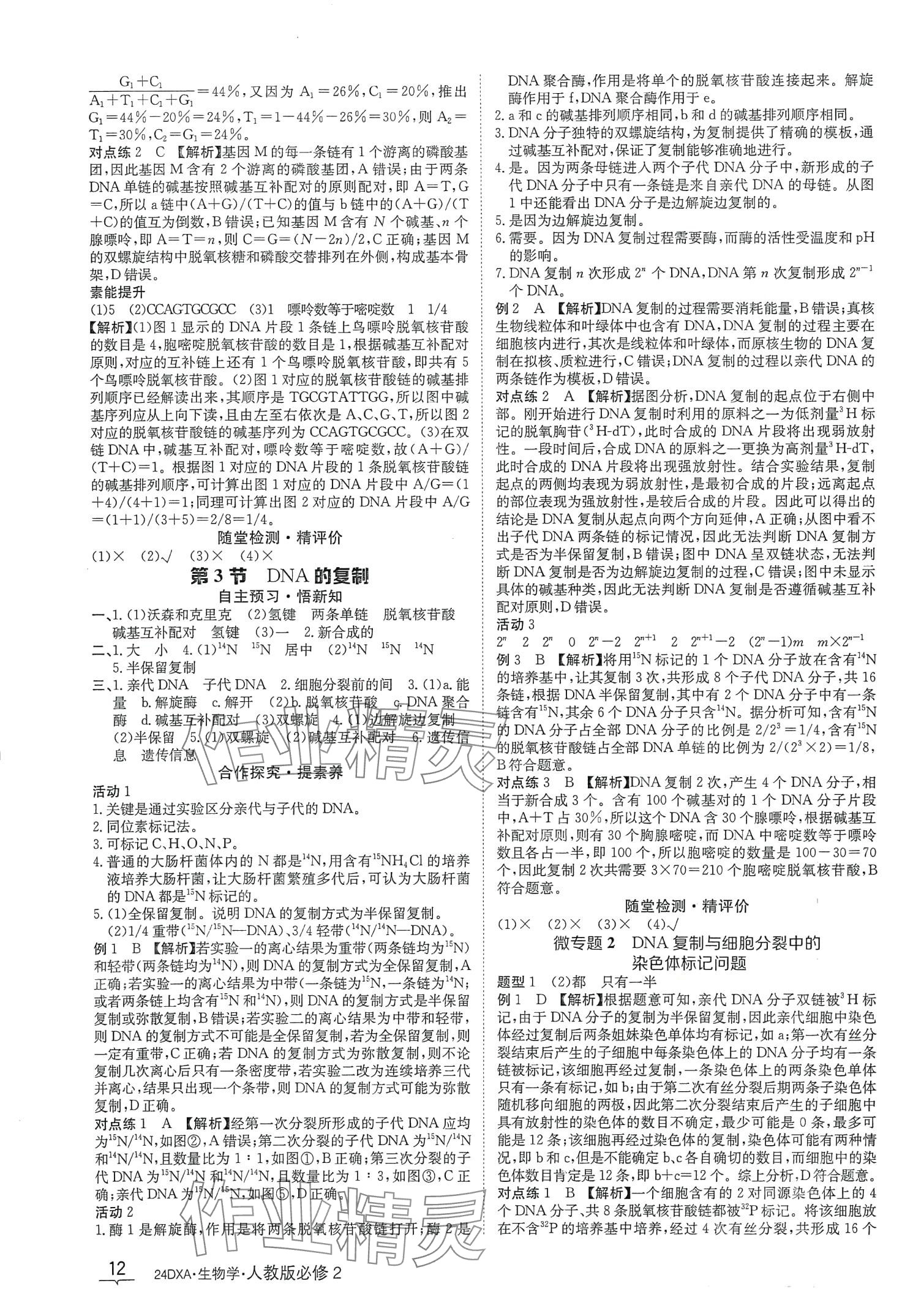 2024年金太阳导学案高中生物必修2人教版新教材&nbsp;第12页