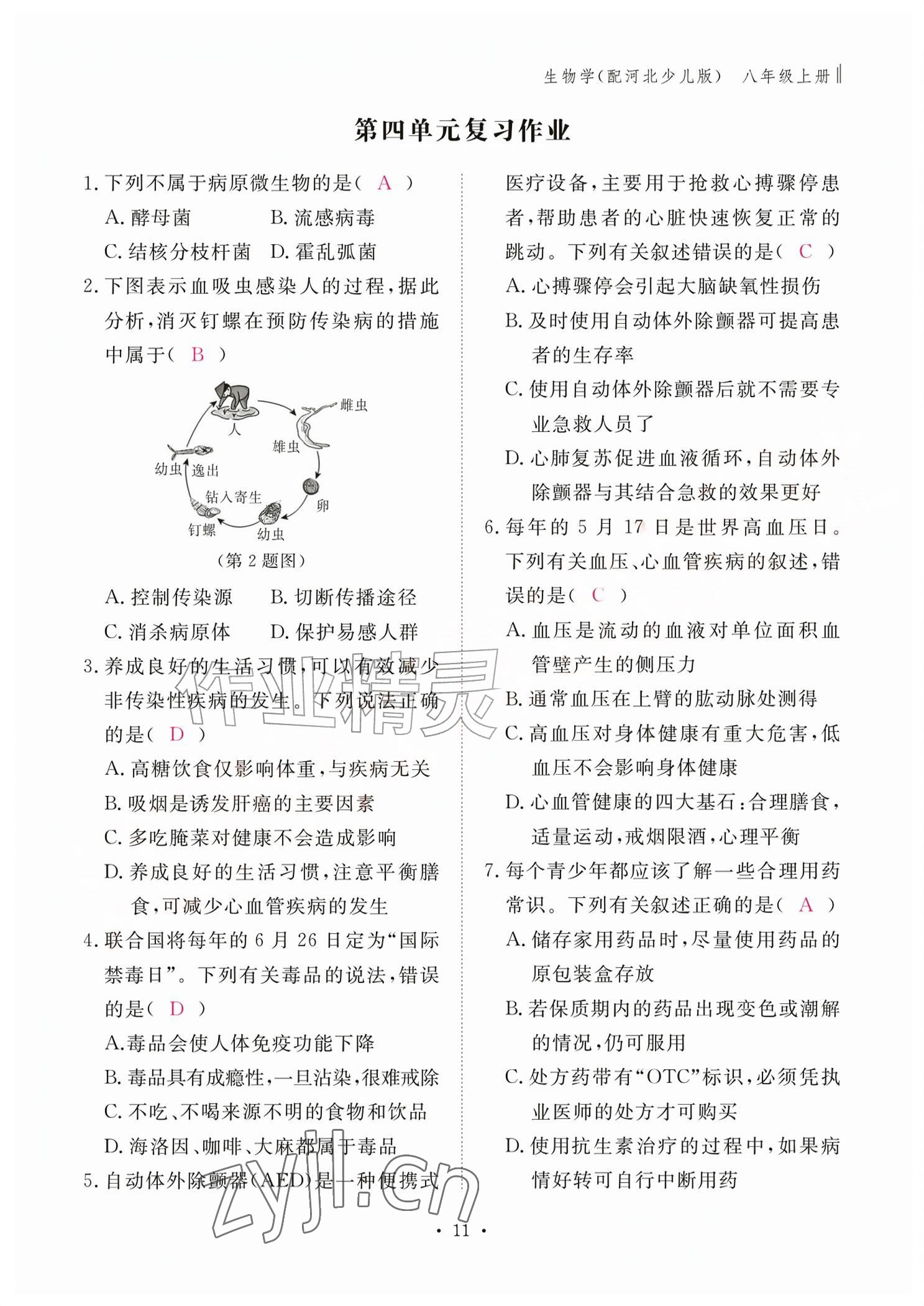 2026年作业本江西教育出版社八年级生物上册冀少版&nbsp;参考答案第11页