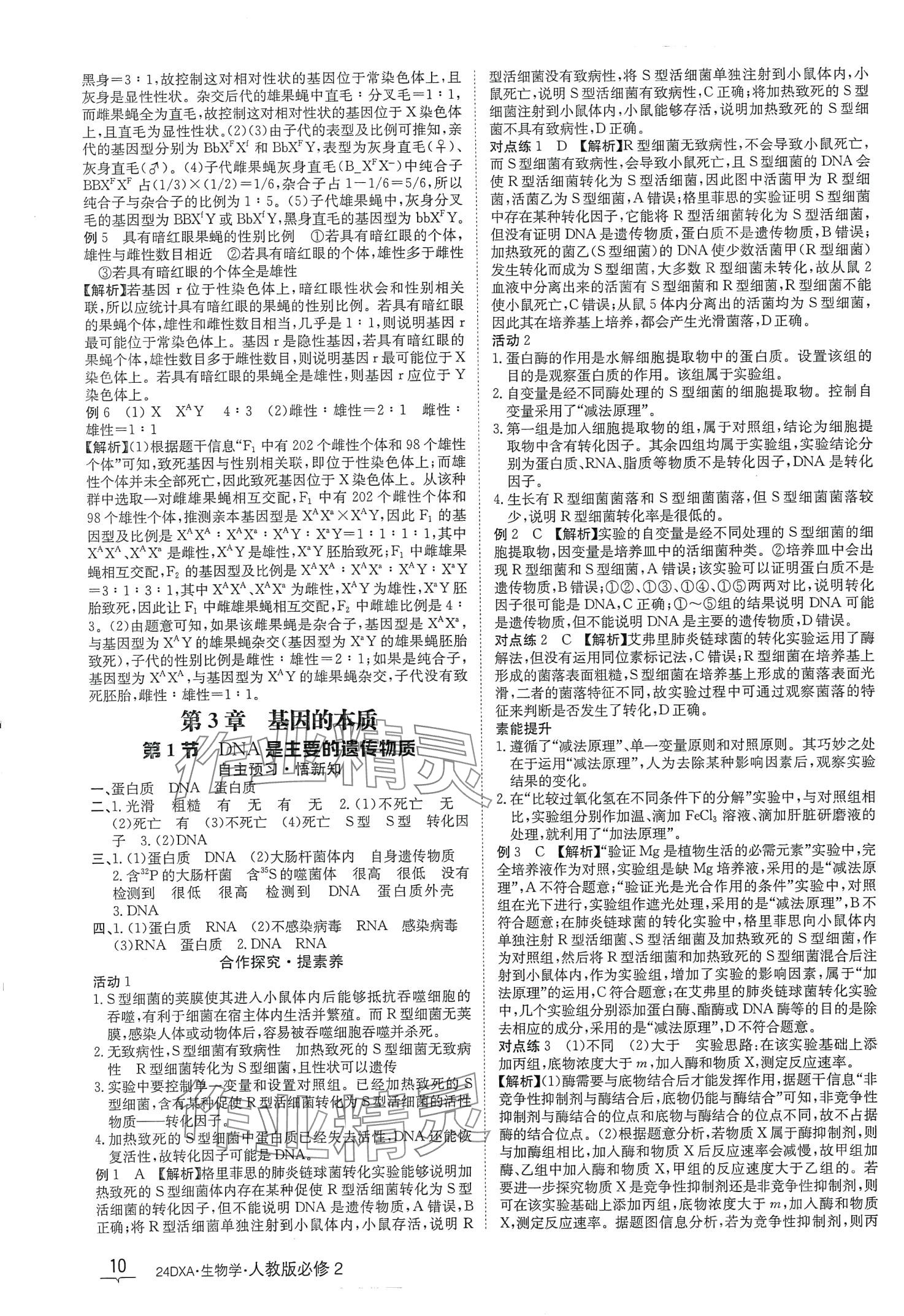 2024年金太阳导学案高中生物必修2人教版新教材&nbsp;第10页