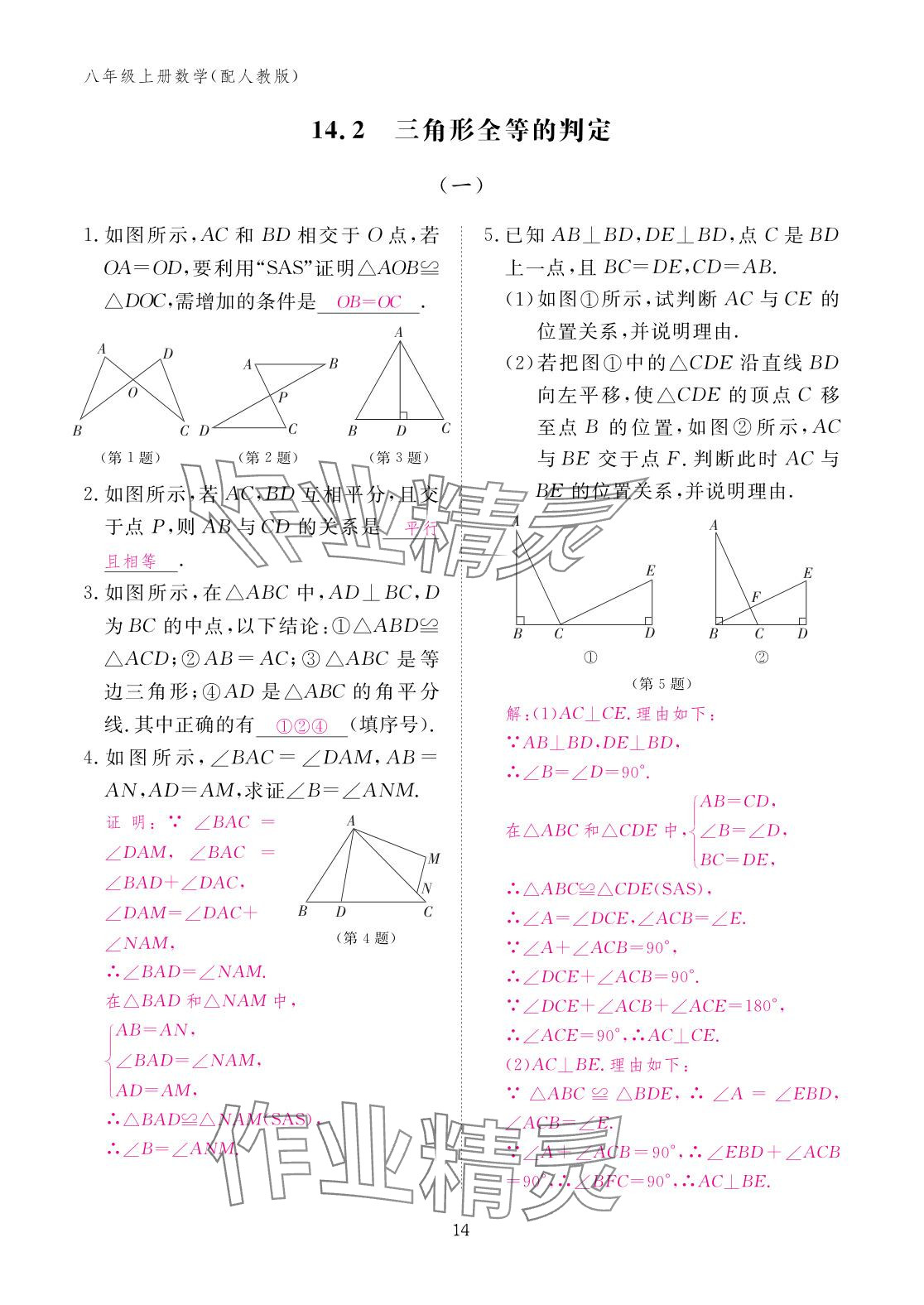 2025年作业本江西教育出版社八年级数学上册人教版&nbsp;参考答案第14页