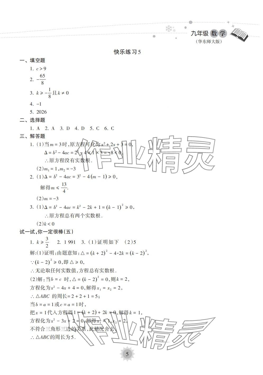 2024年寒假乐园海南出版社九年级数学华师大版&nbsp;第5页