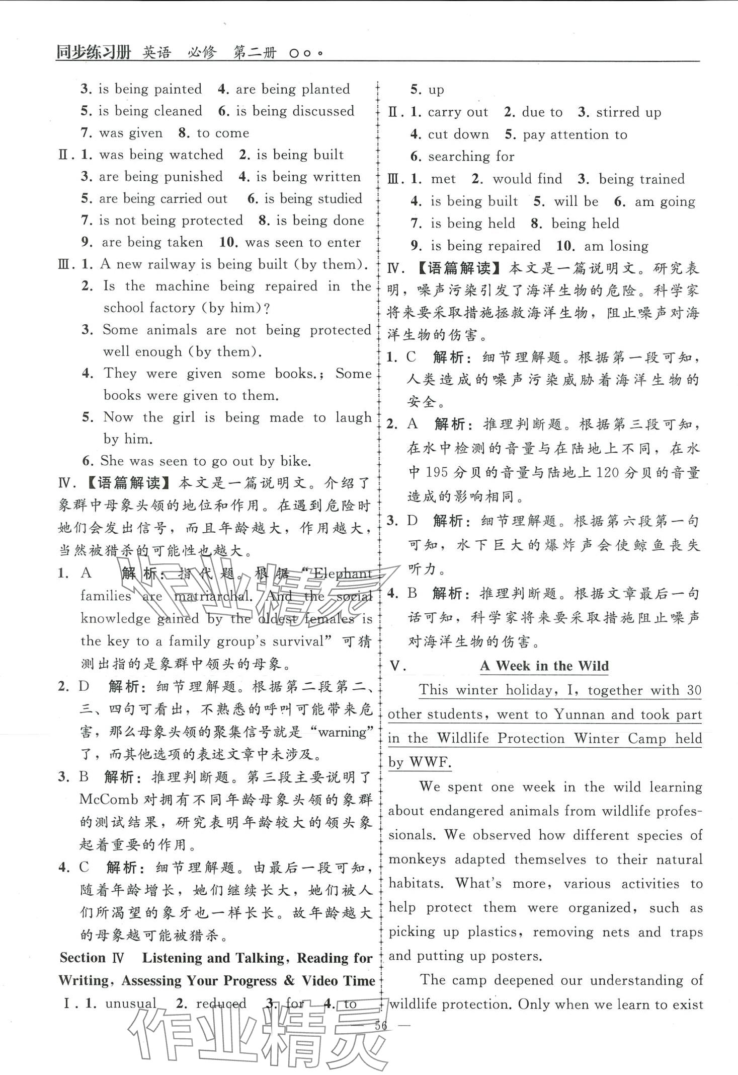 2024年同步练习册人民教育出版社高中英语必修第二册&nbsp;参考答案第6页