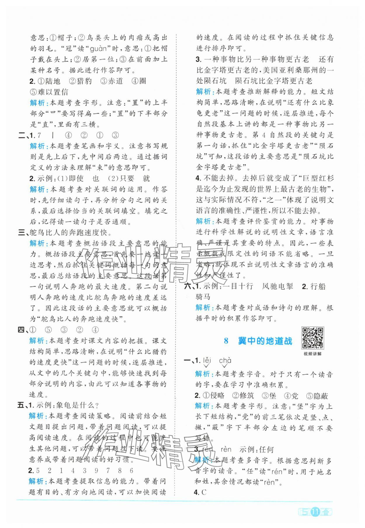 2024年阳光同学课时优化作业五年级语文上册人教版&nbsp;参考答案第11页