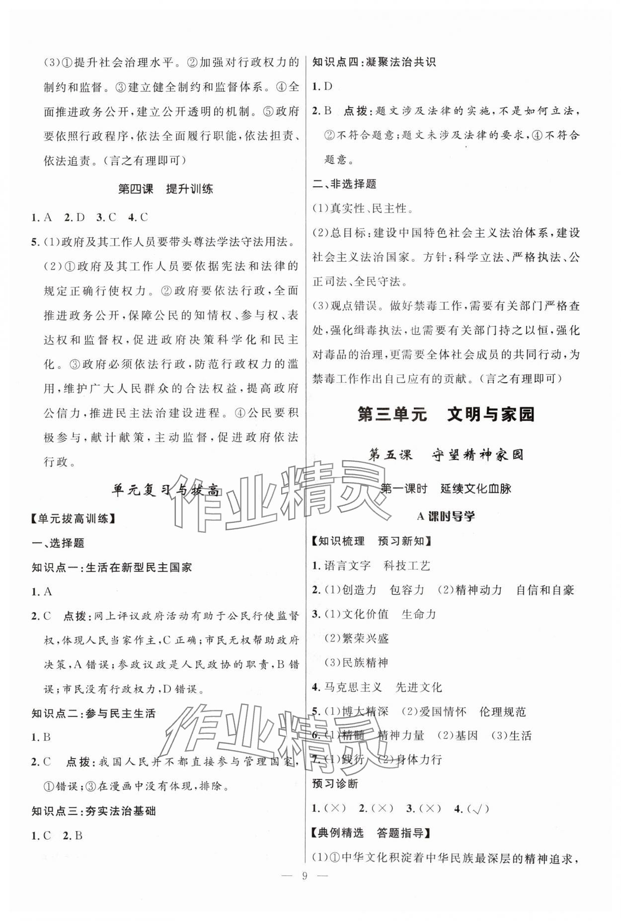 2024年顶尖课课练九年级道德与法治全一册人教版贵州专版&nbsp;第9页