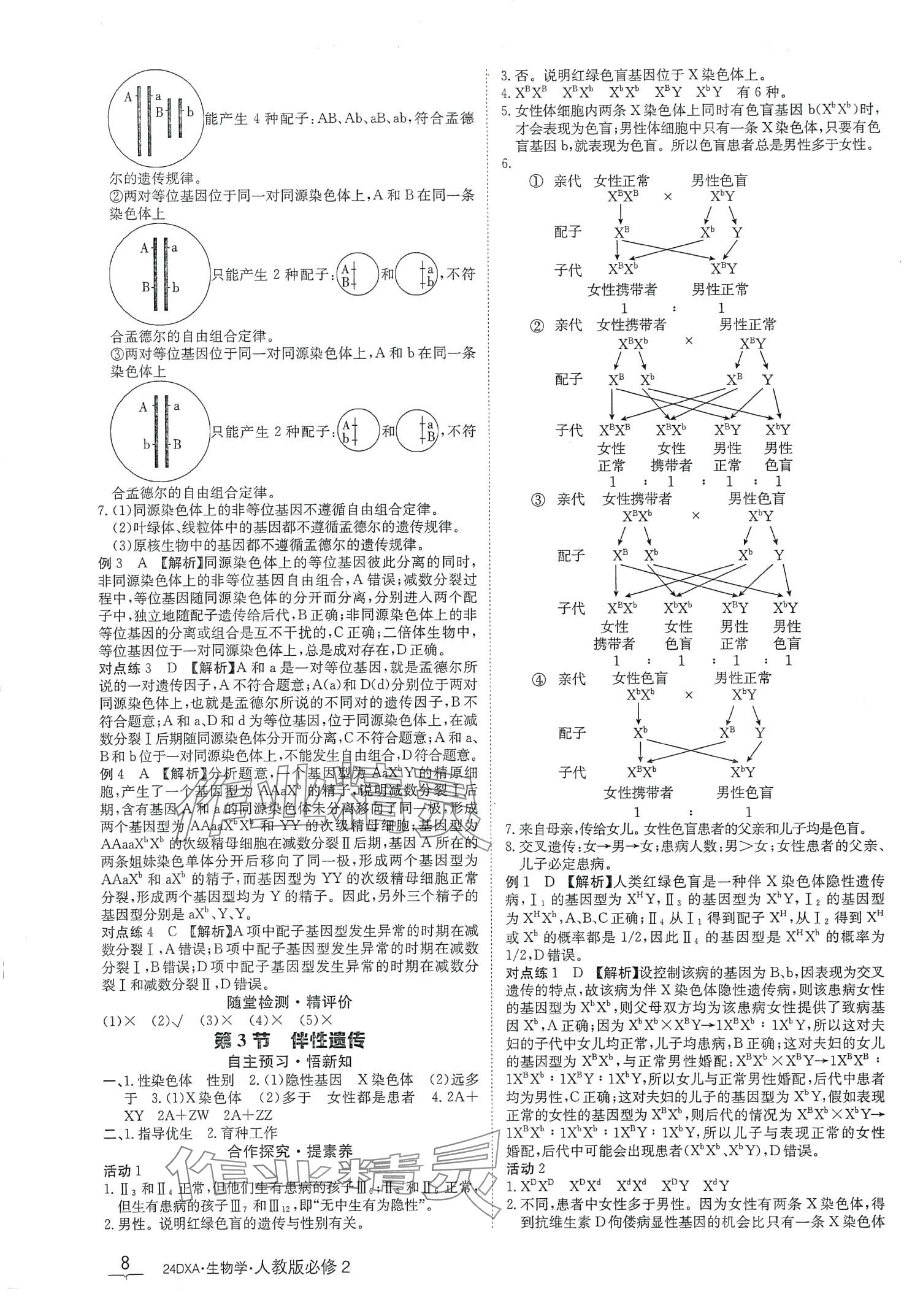 2024年金太阳导学案高中生物必修2人教版新教材&nbsp;第8页