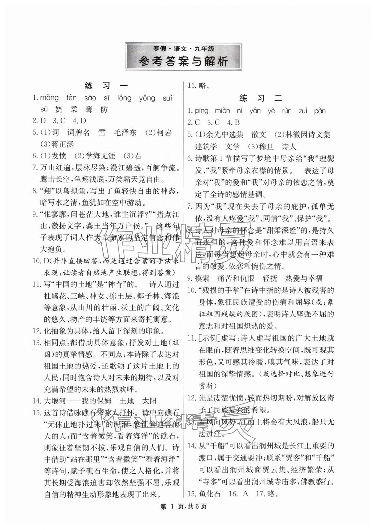 2024年快乐寒假江苏人民出版社九年级语文&nbsp;第1页