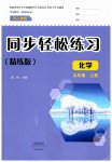 2026年同步轻松练习大象出版社九年级化学上册人教版精练版