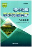 2026年同步分层导学八年级物理上册沪科版海南专版