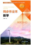 2026年同步作业本延边教育出版社九年级数学全一册沪科版
