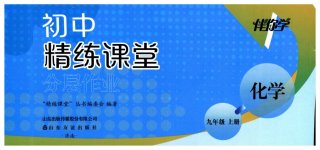 2026年精练课堂分层作业九年级化学上册人教版临沂专版